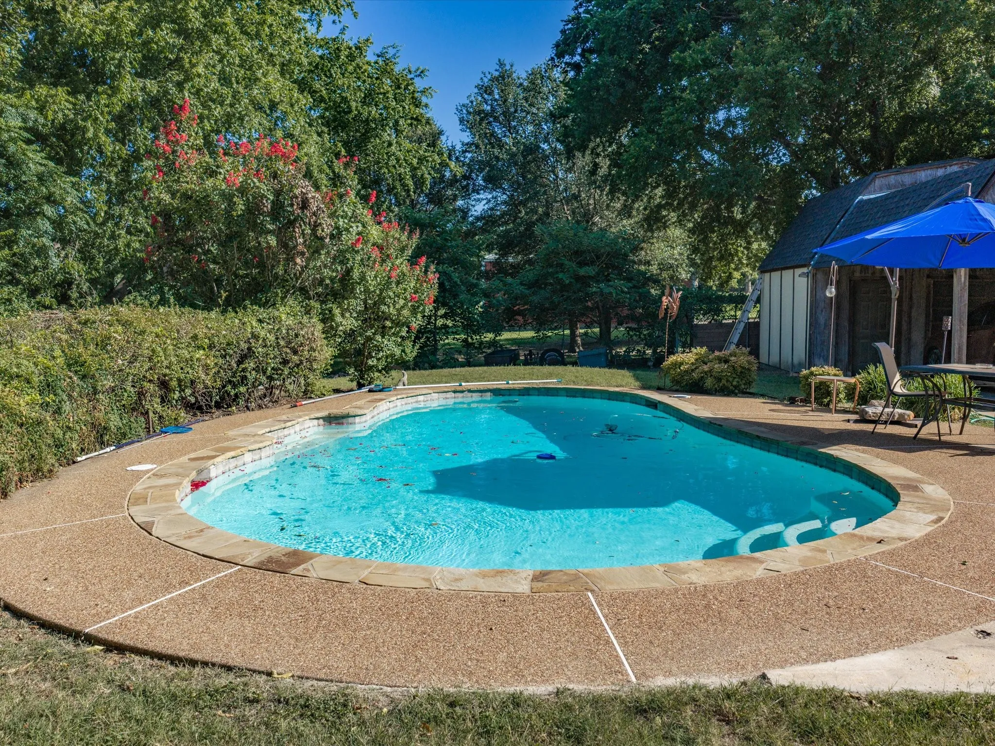 Freeform swimming pool with stone coping and an exposed aggregate deck