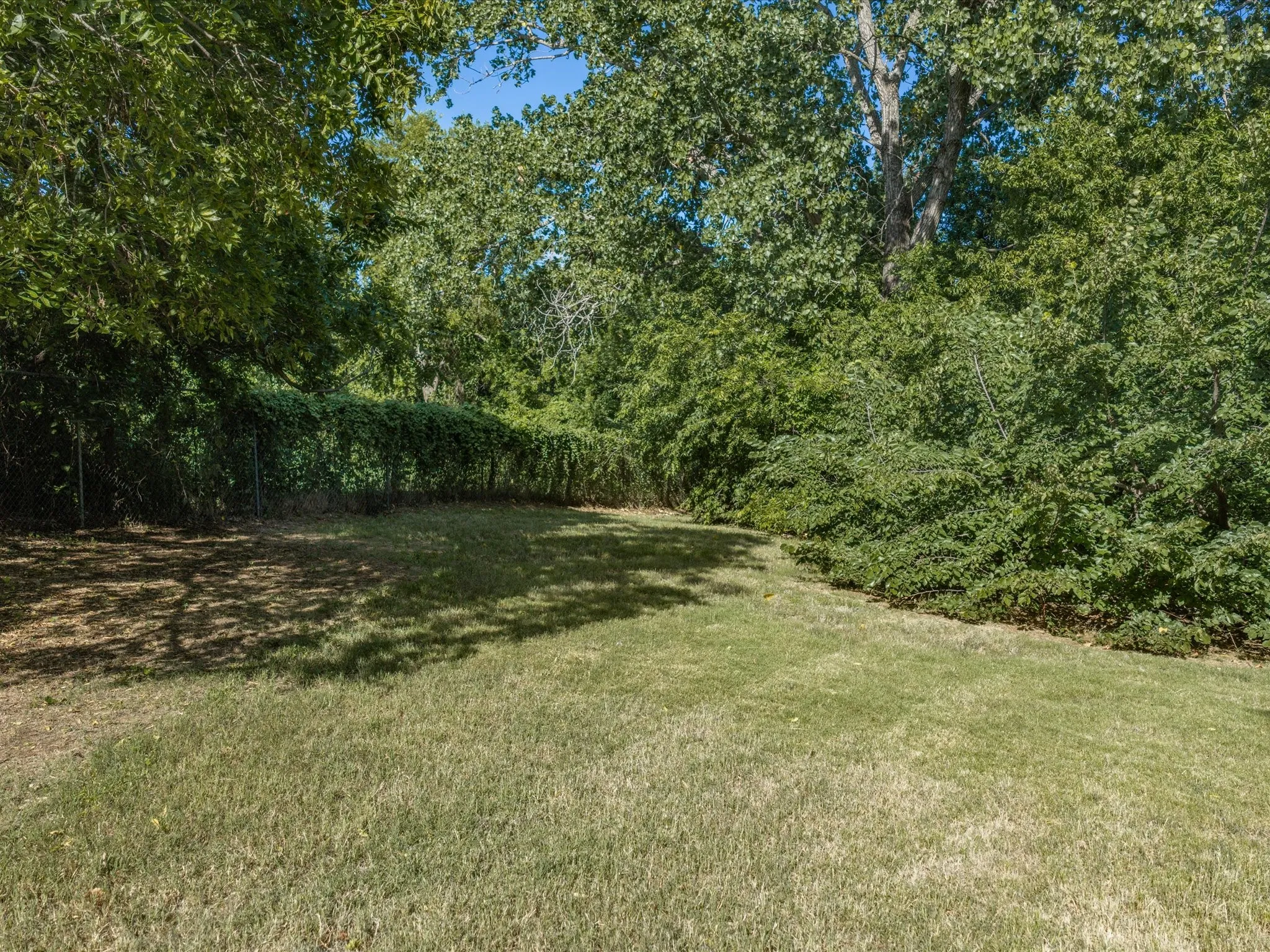 Expansive backyard featuring a lush lawn, mature trees, dense perimeter foliage, and a chain-link fence