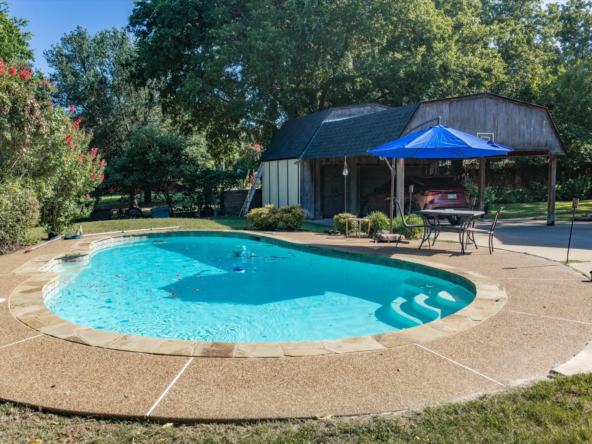 Freeform swimming pool with integrated steps, surrounded by exposed aggregate concrete decking and natural stone coping