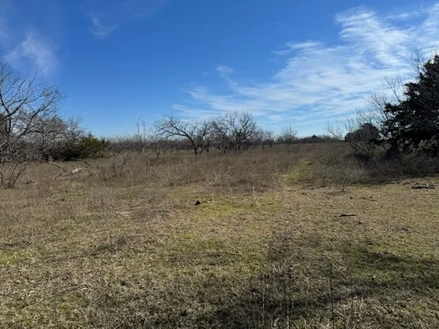 Lots of clearing for building