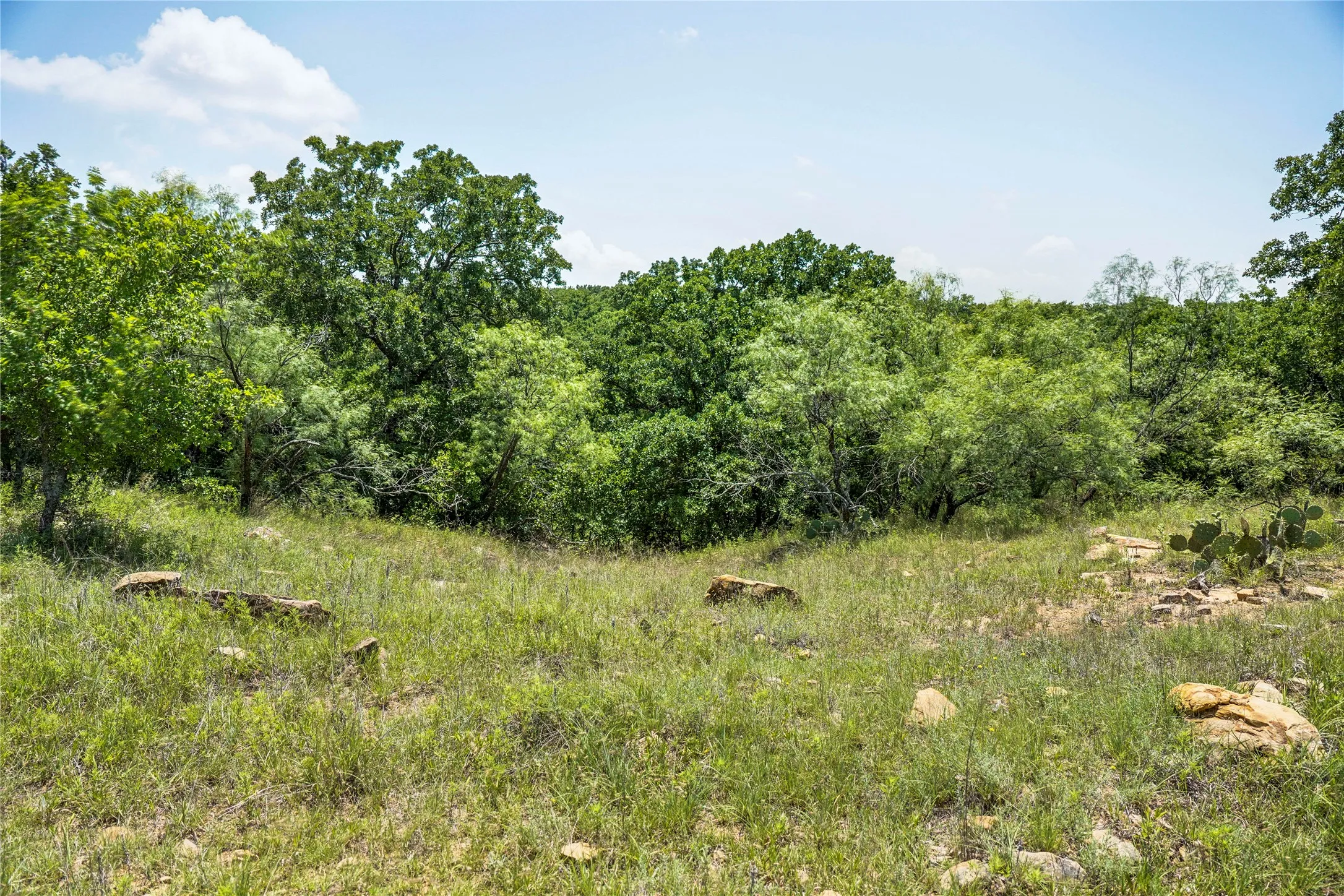 Ranch For Sale in Jack County , 43.18 Acres 281 Highway, Jacksboro, Texas 76458, 0, 0, Garage spaces, 0 Sqft, built in 0, mls#21310779, Real Estate Agent in Jacksboro, Homes For Sale in Jack county, Homes For Sale in Jacksboro, Realtor in Jacksboro Texas, Real Estate Brokerage Independent Realty Texas, Luminita Cordes Realtor