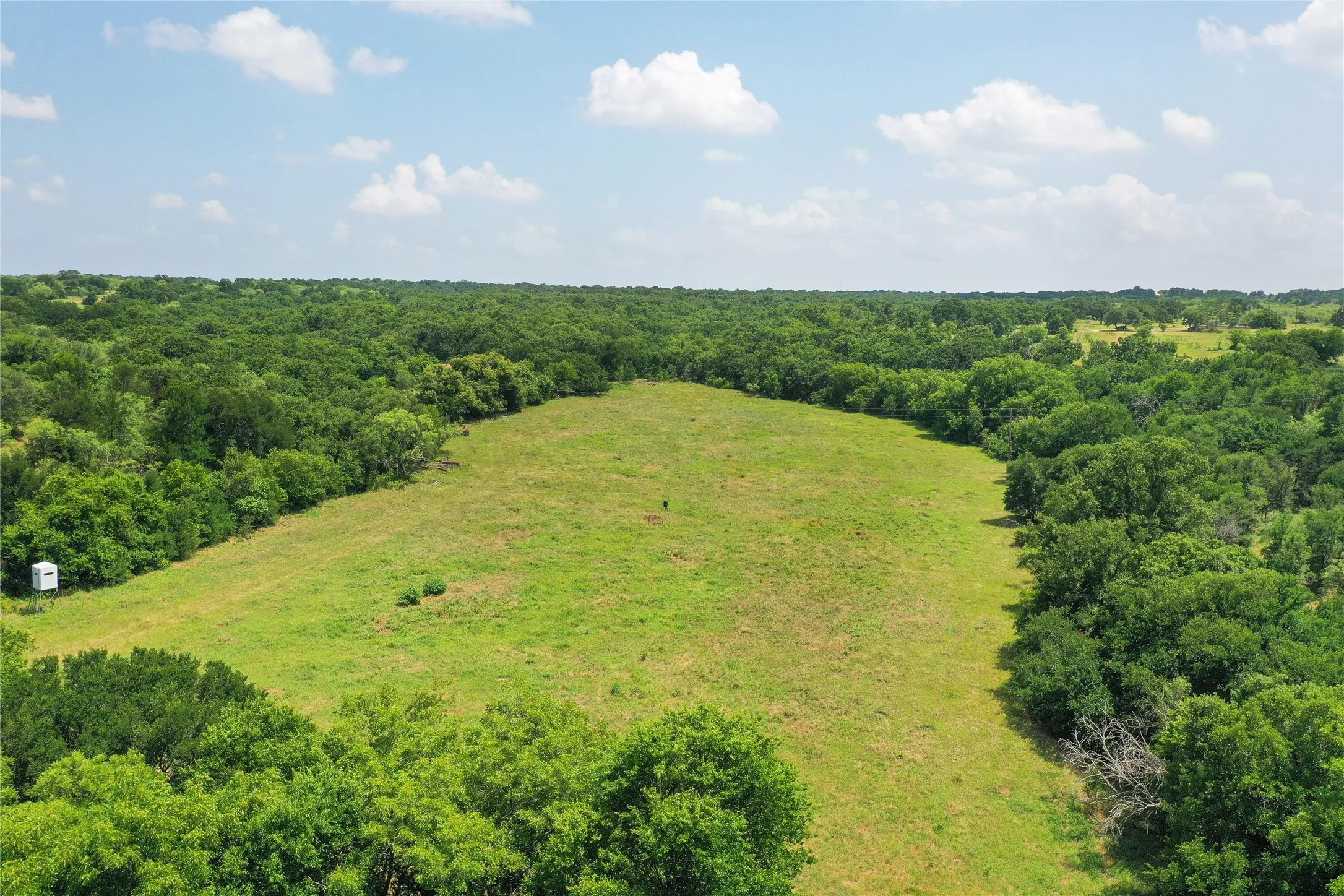 Ranch For Sale in Jack County , 43.18 Acres 281 Highway, Jacksboro, Texas 76458, 0, 0, Garage spaces, 0 Sqft, built in 0, mls#21310779, Real Estate Agent in Jacksboro, Homes For Sale in Jack county, Homes For Sale in Jacksboro, Realtor in Jacksboro Texas, Real Estate Brokerage Independent Realty Texas, Luminita Cordes Realtor
