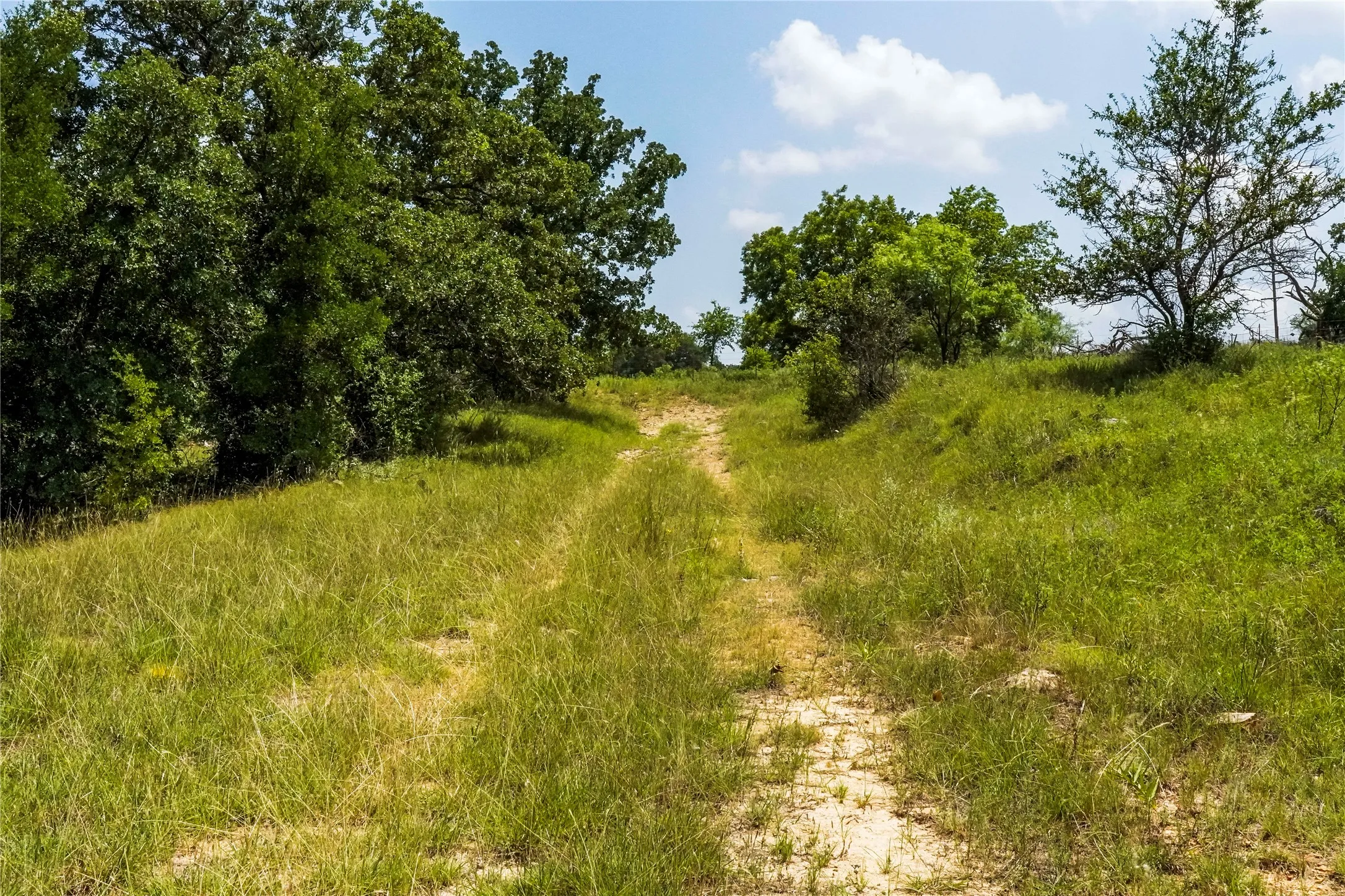 Ranch For Sale in Jack County , 43.18 Acres 281 Highway, Jacksboro, Texas 76458, 0, 0, Garage spaces, 0 Sqft, built in 0, mls#21310779, Real Estate Agent in Jacksboro, Homes For Sale in Jack county, Homes For Sale in Jacksboro, Realtor in Jacksboro Texas, Real Estate Brokerage Independent Realty Texas, Luminita Cordes Realtor