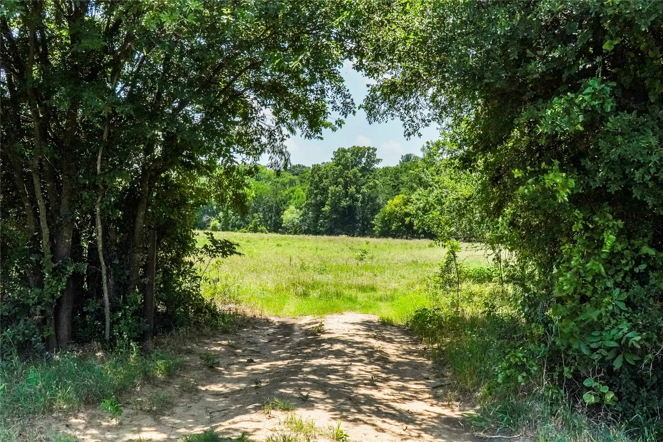 Ranch For Sale in Jack County , 43.18 Acres 281 Highway, Jacksboro, Texas 76458, 0, 0, Garage spaces, 0 Sqft, built in 0, mls#21310779, Real Estate Agent in Jacksboro, Homes For Sale in Jack county, Homes For Sale in Jacksboro, Realtor in Jacksboro Texas, Real Estate Brokerage Independent Realty Texas, Luminita Cordes Realtor