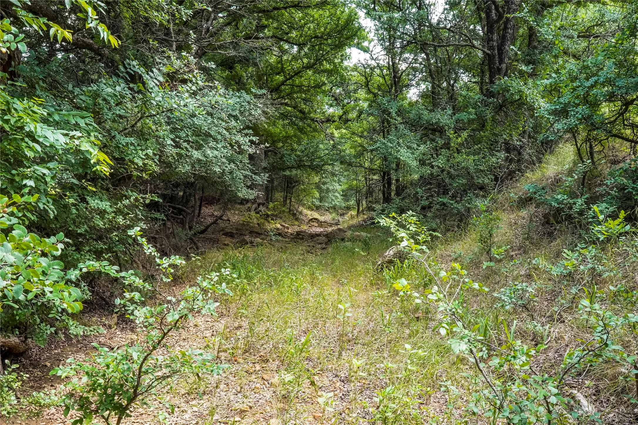 Ranch For Sale in Jack County , 43.18 Acres 281 Highway, Jacksboro, Texas 76458, 0, 0, Garage spaces, 0 Sqft, built in 0, mls#21310779, Real Estate Agent in Jacksboro, Homes For Sale in Jack county, Homes For Sale in Jacksboro, Realtor in Jacksboro Texas, Real Estate Brokerage Independent Realty Texas, Luminita Cordes Realtor