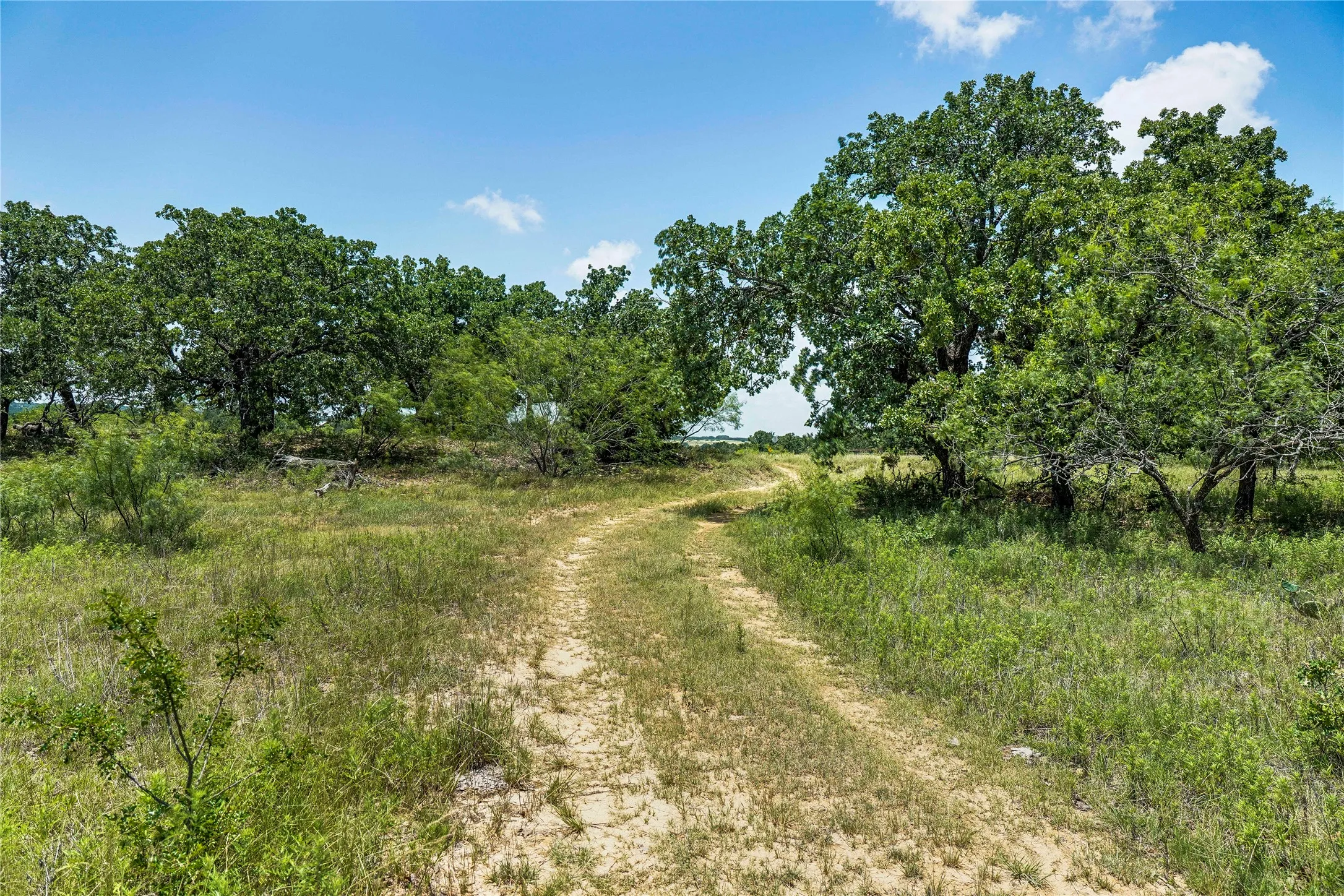 Ranch For Sale in Jack County , 43.18 Acres 281 Highway, Jacksboro, Texas 76458, 0, 0, Garage spaces, 0 Sqft, built in 0, mls#21310779, Real Estate Agent in Jacksboro, Homes For Sale in Jack county, Homes For Sale in Jacksboro, Realtor in Jacksboro Texas, Real Estate Brokerage Independent Realty Texas, Luminita Cordes Realtor