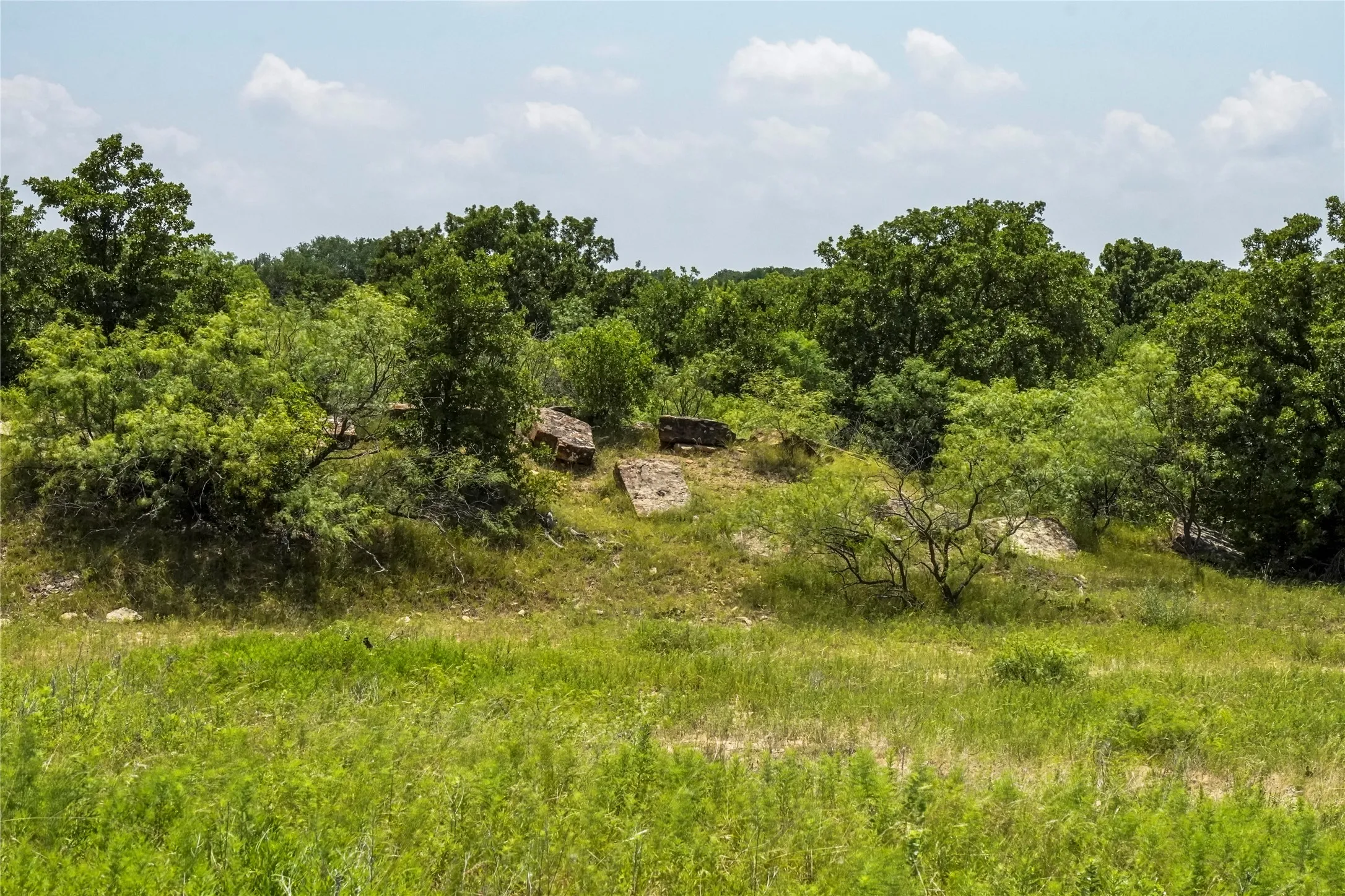Ranch For Sale in Jack County , 43.18 Acres 281 Highway, Jacksboro, Texas 76458, 0, 0, Garage spaces, 0 Sqft, built in 0, mls#21310779, Real Estate Agent in Jacksboro, Homes For Sale in Jack county, Homes For Sale in Jacksboro, Realtor in Jacksboro Texas, Real Estate Brokerage Independent Realty Texas, Luminita Cordes Realtor