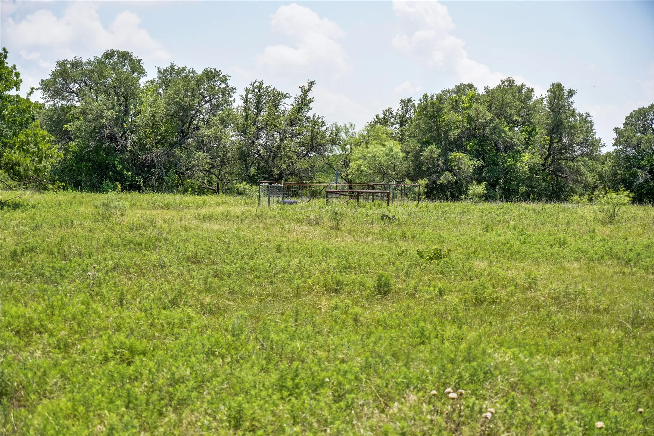 Ranch For Sale in Jack County , 43.18 Acres 281 Highway, Jacksboro, Texas 76458, 0, 0, Garage spaces, 0 Sqft, built in 0, mls#21310779, Real Estate Agent in Jacksboro, Homes For Sale in Jack county, Homes For Sale in Jacksboro, Realtor in Jacksboro Texas, Real Estate Brokerage Independent Realty Texas, Luminita Cordes Realtor