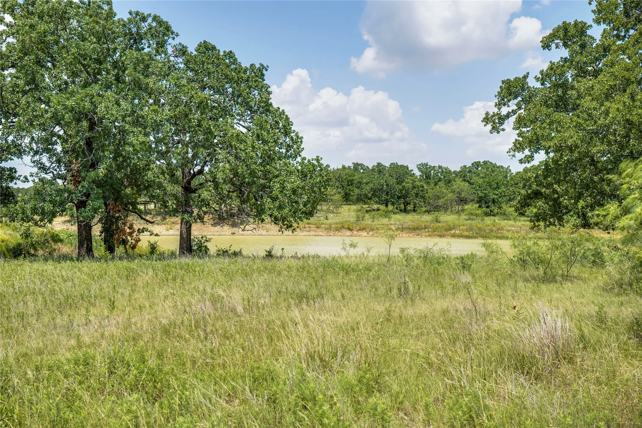 Ranch For Sale in Jack County , 43.18 Acres 281 Highway, Jacksboro, Texas 76458, 0, 0, Garage spaces, 0 Sqft, built in 0, mls#21310779, Real Estate Agent in Jacksboro, Homes For Sale in Jack county, Homes For Sale in Jacksboro, Realtor in Jacksboro Texas, Real Estate Brokerage Independent Realty Texas, Luminita Cordes Realtor