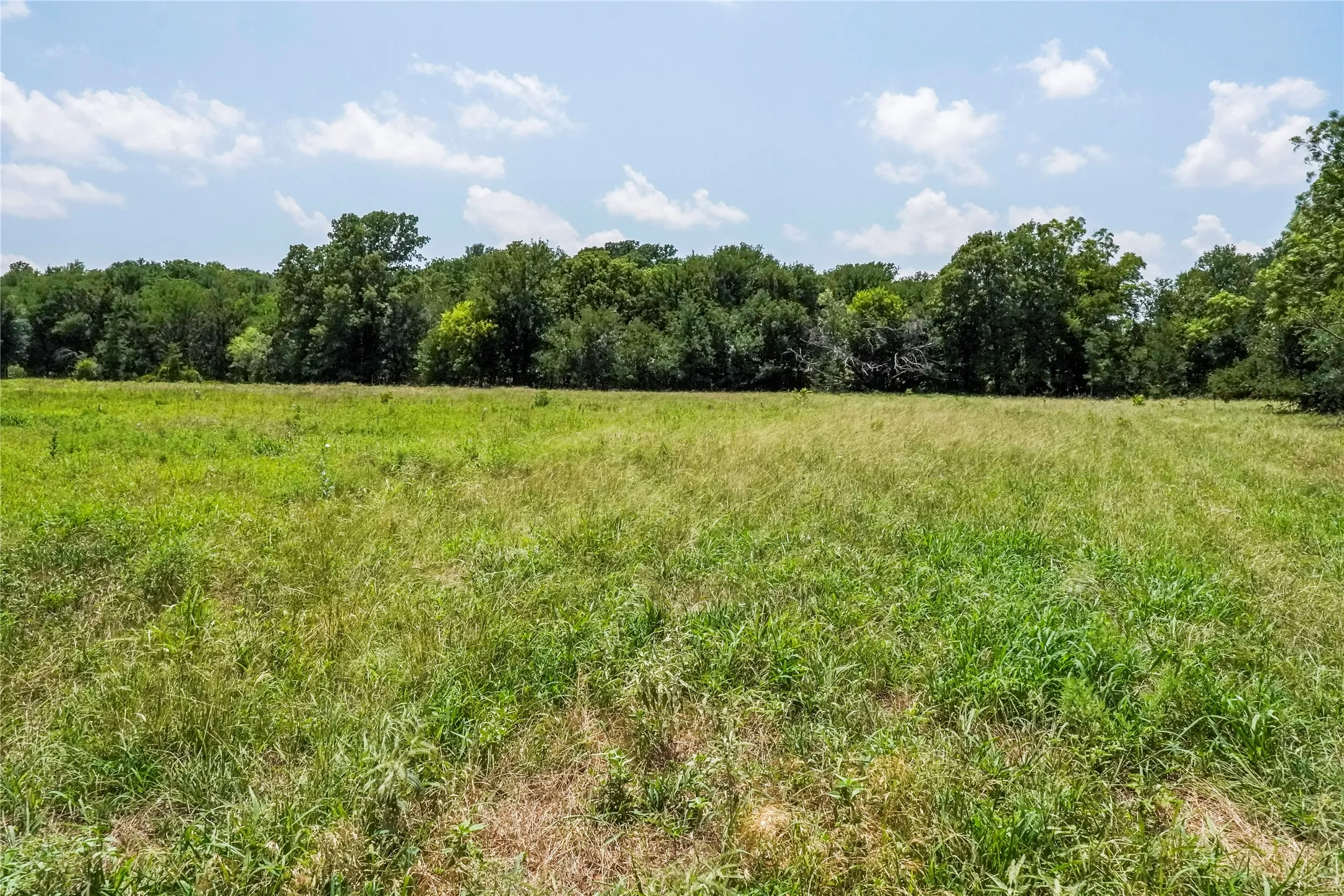 Ranch For Sale in Jack County , 43.18 Acres 281 Highway, Jacksboro, Texas 76458, 0, 0, Garage spaces, 0 Sqft, built in 0, mls#21310779, Real Estate Agent in Jacksboro, Homes For Sale in Jack county, Homes For Sale in Jacksboro, Realtor in Jacksboro Texas, Real Estate Brokerage Independent Realty Texas, Luminita Cordes Realtor