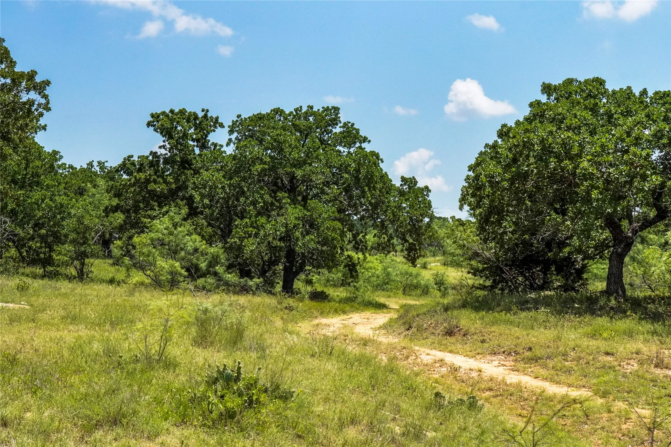 Ranch For Sale in Jack County , 43.18 Acres 281 Highway, Jacksboro, Texas 76458, 0, 0, Garage spaces, 0 Sqft, built in 0, mls#21310779, Real Estate Agent in Jacksboro, Homes For Sale in Jack county, Homes For Sale in Jacksboro, Realtor in Jacksboro Texas, Real Estate Brokerage Independent Realty Texas, Luminita Cordes Realtor