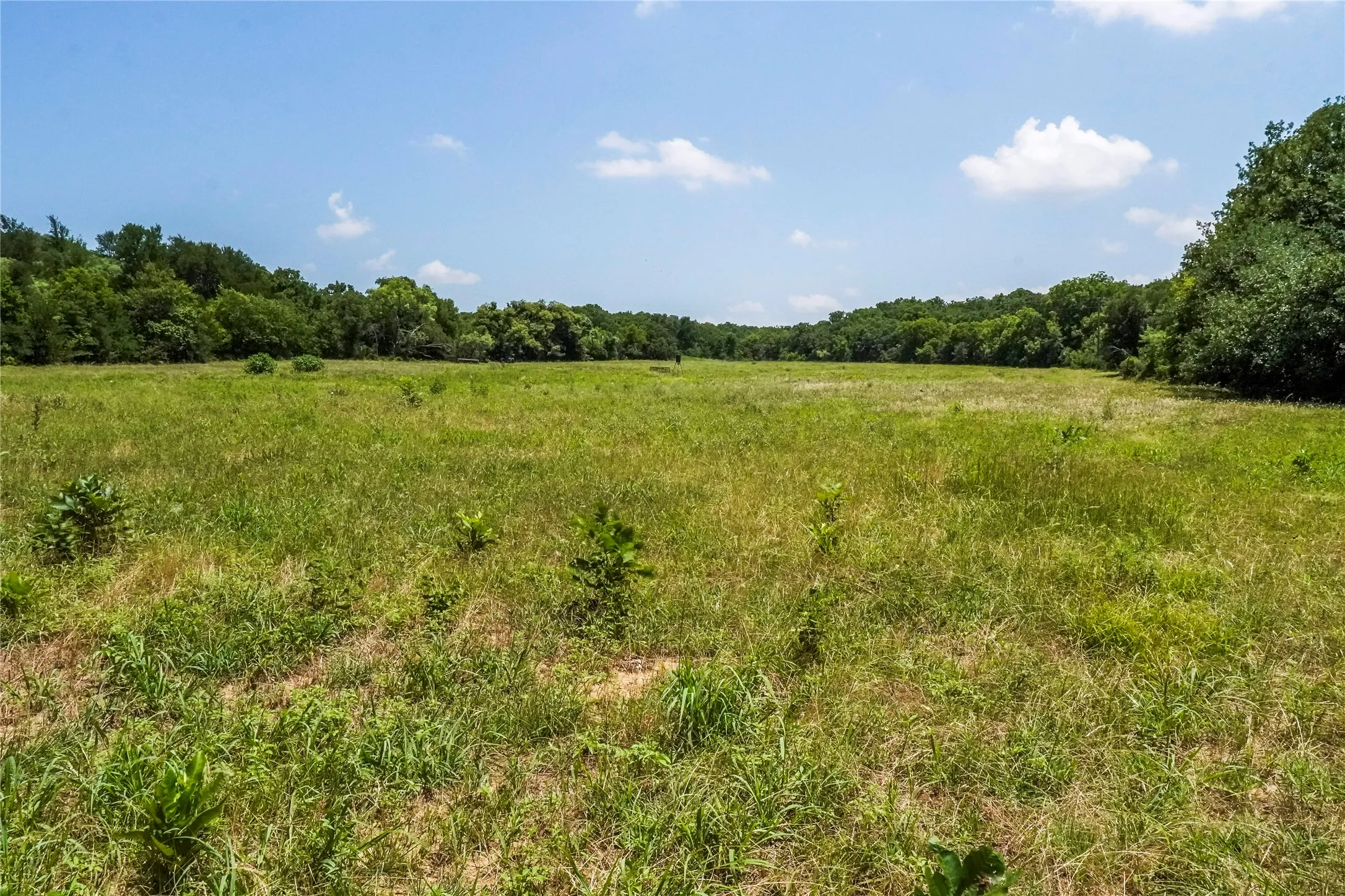 Ranch For Sale in Jack County , 43.18 Acres 281 Highway, Jacksboro, Texas 76458, 0, 0, Garage spaces, 0 Sqft, built in 0, mls#21310779, Real Estate Agent in Jacksboro, Homes For Sale in Jack county, Homes For Sale in Jacksboro, Realtor in Jacksboro Texas, Real Estate Brokerage Independent Realty Texas, Luminita Cordes Realtor