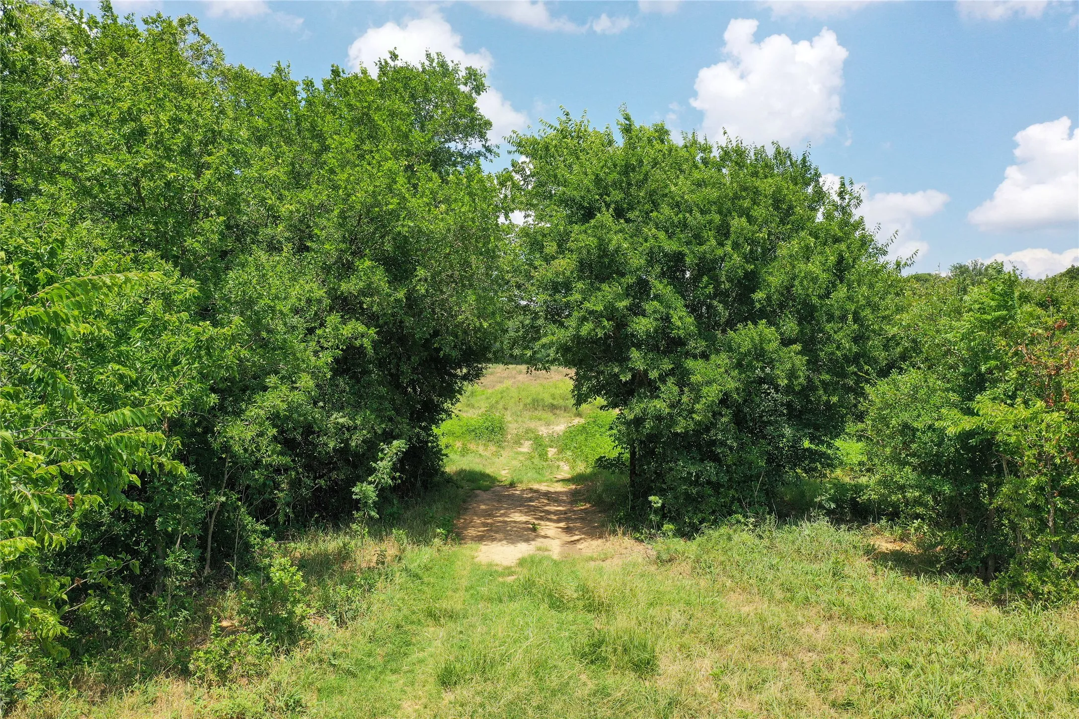 Ranch For Sale in Jack County , 43.18 Acres 281 Highway, Jacksboro, Texas 76458, 0, 0, Garage spaces, 0 Sqft, built in 0, mls#21310779, Real Estate Agent in Jacksboro, Homes For Sale in Jack county, Homes For Sale in Jacksboro, Realtor in Jacksboro Texas, Real Estate Brokerage Independent Realty Texas, Luminita Cordes Realtor