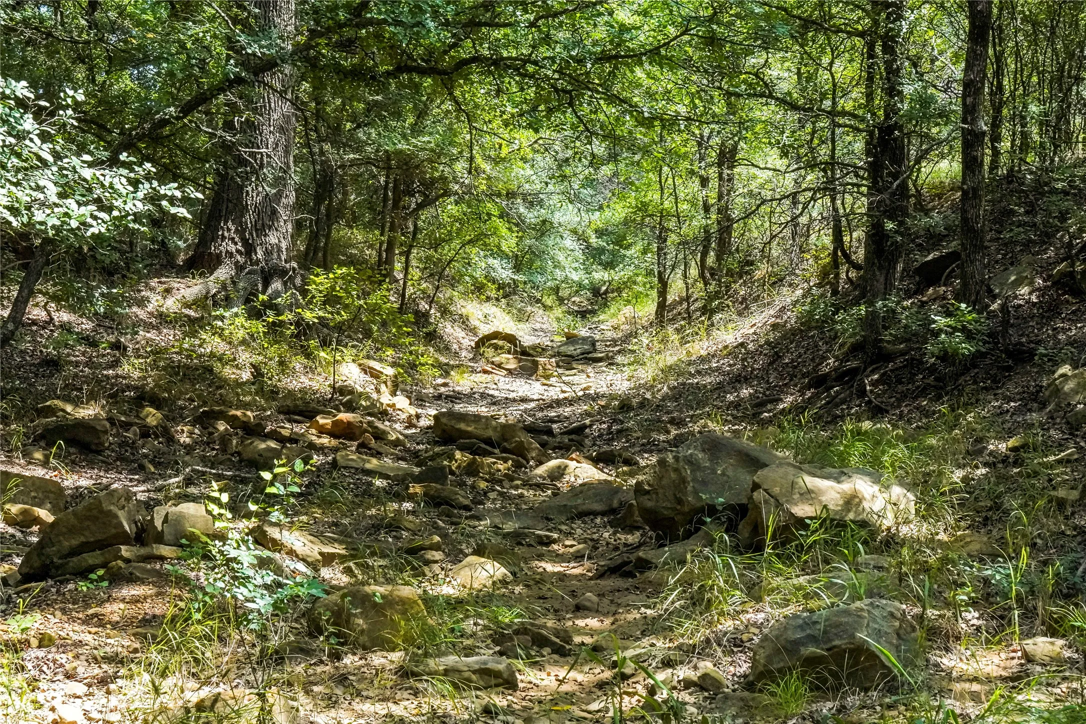 Ranch For Sale in Jack County , 43.18 Acres 281 Highway, Jacksboro, Texas 76458, 0, 0, Garage spaces, 0 Sqft, built in 0, mls#21310779, Real Estate Agent in Jacksboro, Homes For Sale in Jack county, Homes For Sale in Jacksboro, Realtor in Jacksboro Texas, Real Estate Brokerage Independent Realty Texas, Luminita Cordes Realtor