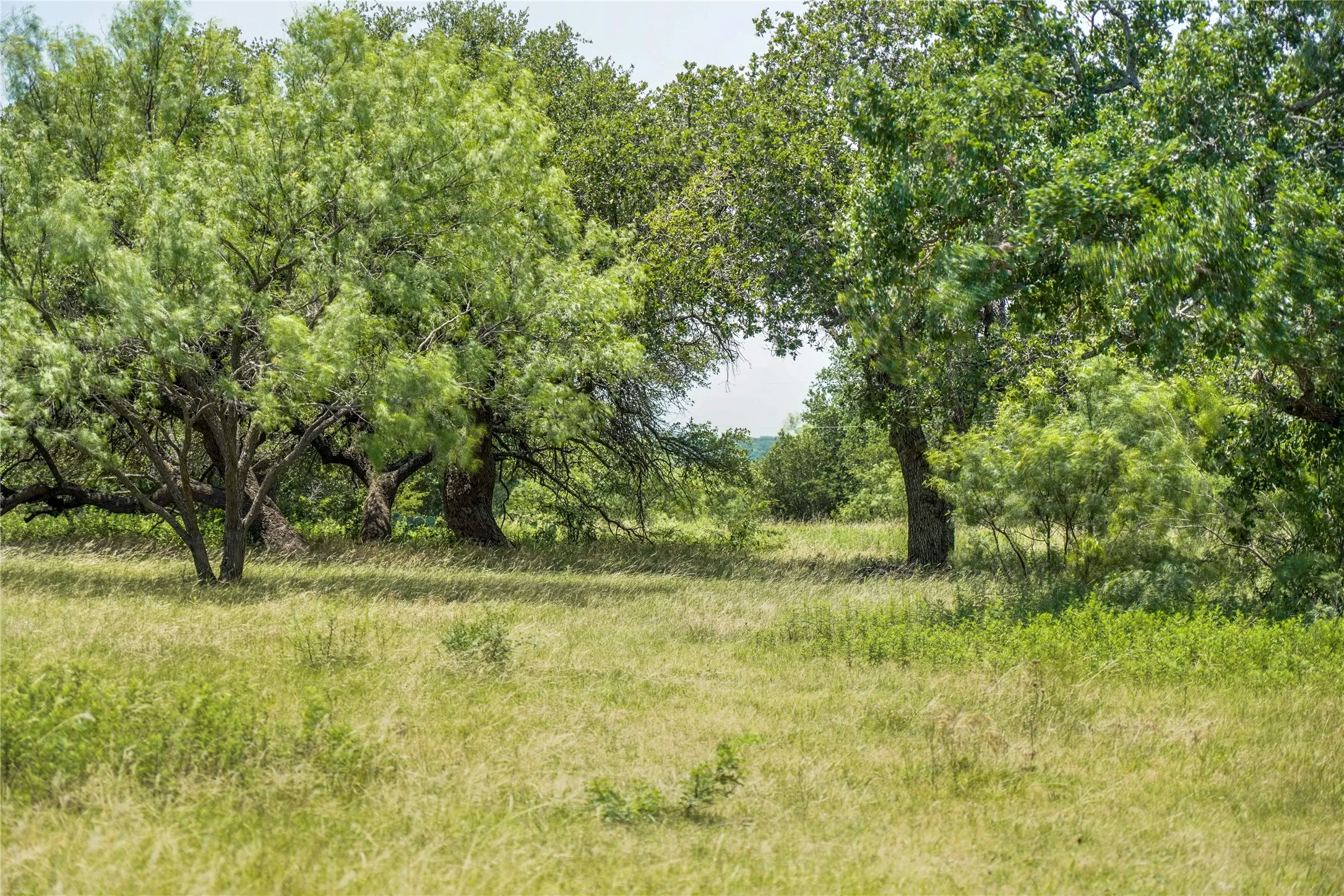 Ranch For Sale in Jack County , 43.18 Acres 281 Highway, Jacksboro, Texas 76458, 0, 0, Garage spaces, 0 Sqft, built in 0, mls#21310779, Real Estate Agent in Jacksboro, Homes For Sale in Jack county, Homes For Sale in Jacksboro, Realtor in Jacksboro Texas, Real Estate Brokerage Independent Realty Texas, Luminita Cordes Realtor