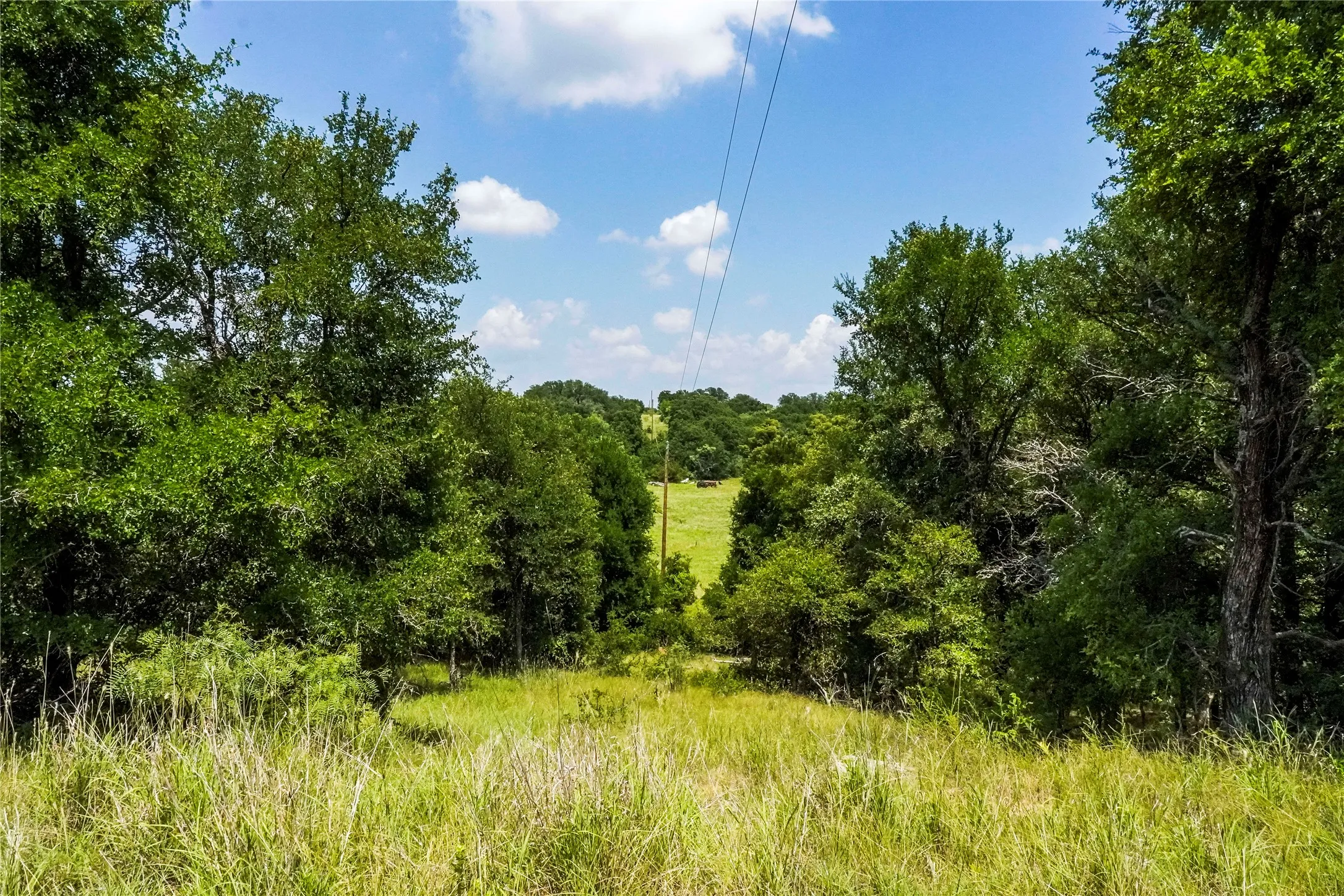 Ranch For Sale in Jack County , 43.18 Acres 281 Highway, Jacksboro, Texas 76458, 0, 0, Garage spaces, 0 Sqft, built in 0, mls#21310779, Real Estate Agent in Jacksboro, Homes For Sale in Jack county, Homes For Sale in Jacksboro, Realtor in Jacksboro Texas, Real Estate Brokerage Independent Realty Texas, Luminita Cordes Realtor