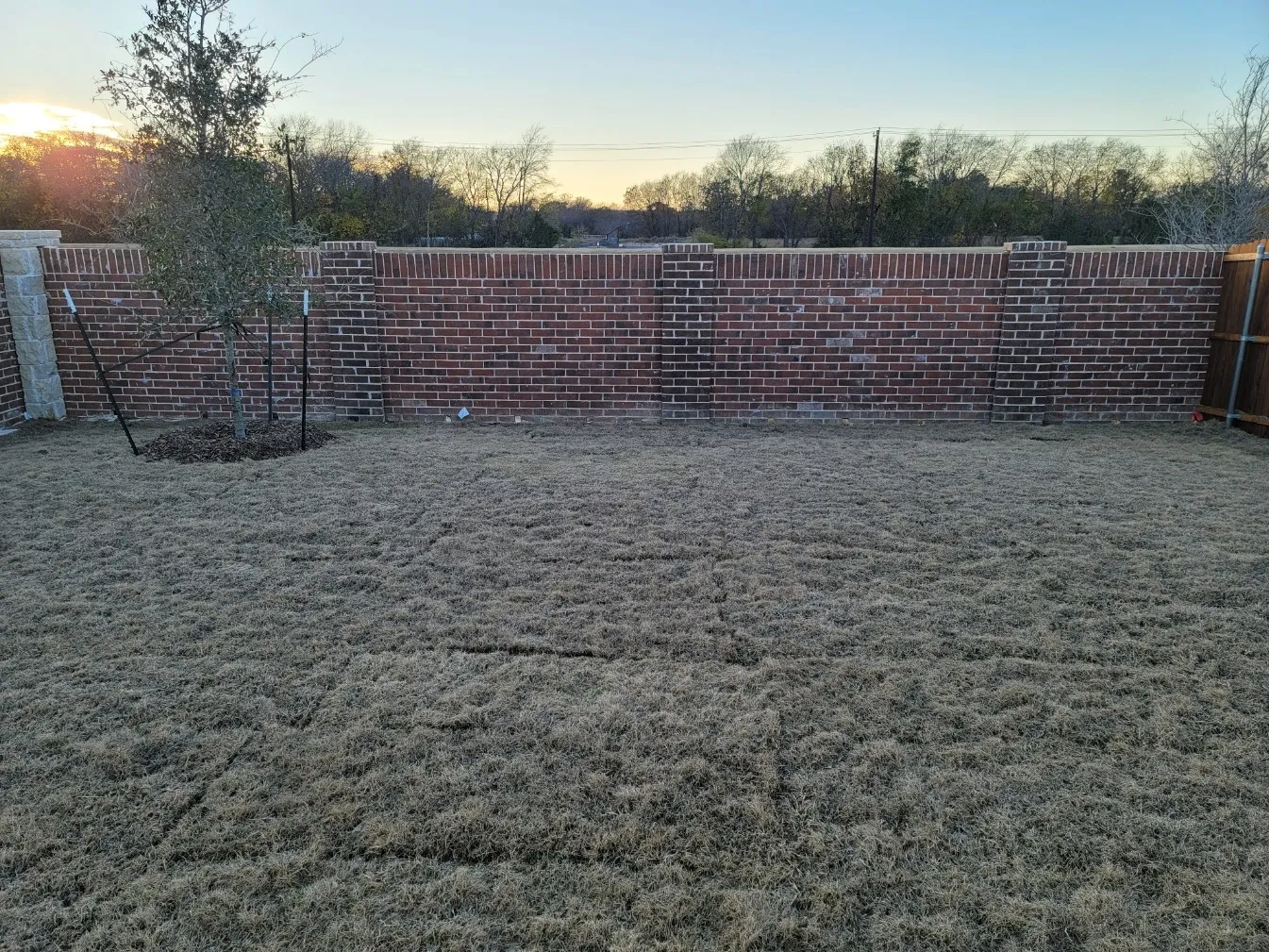 Single Family Residence For Rent in Collin County , 7513 Bluebell Lane, Mc Kinney, Texas 75071, 3 Bedroom, 2 Bathroom, 2 Garage spaces, 1,407 Sqft, built in 2022, mls#21310645, Real Estate Agent in Mc Kinney, Homes For Rent in Collin county, Homes For Rent in Mc Kinney, Realtor in Mc Kinney Texas, Real Estate Brokerage Independent Realty Texas, Luminita Cordes Realtor