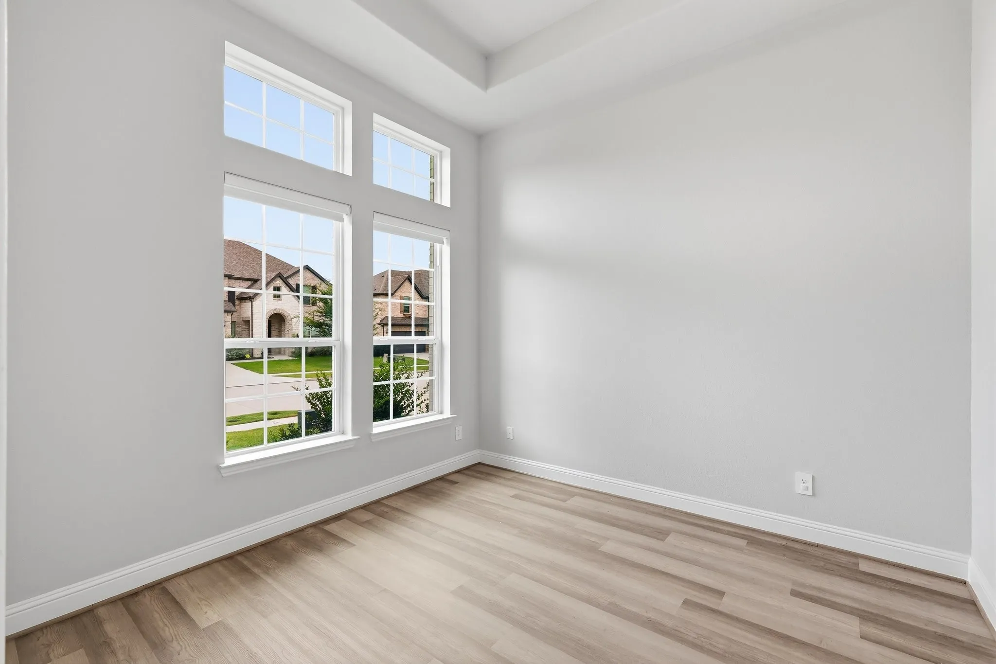 Room featuring a multi-pane window array, tray ceiling, wood-finish flooring, and white baseboards