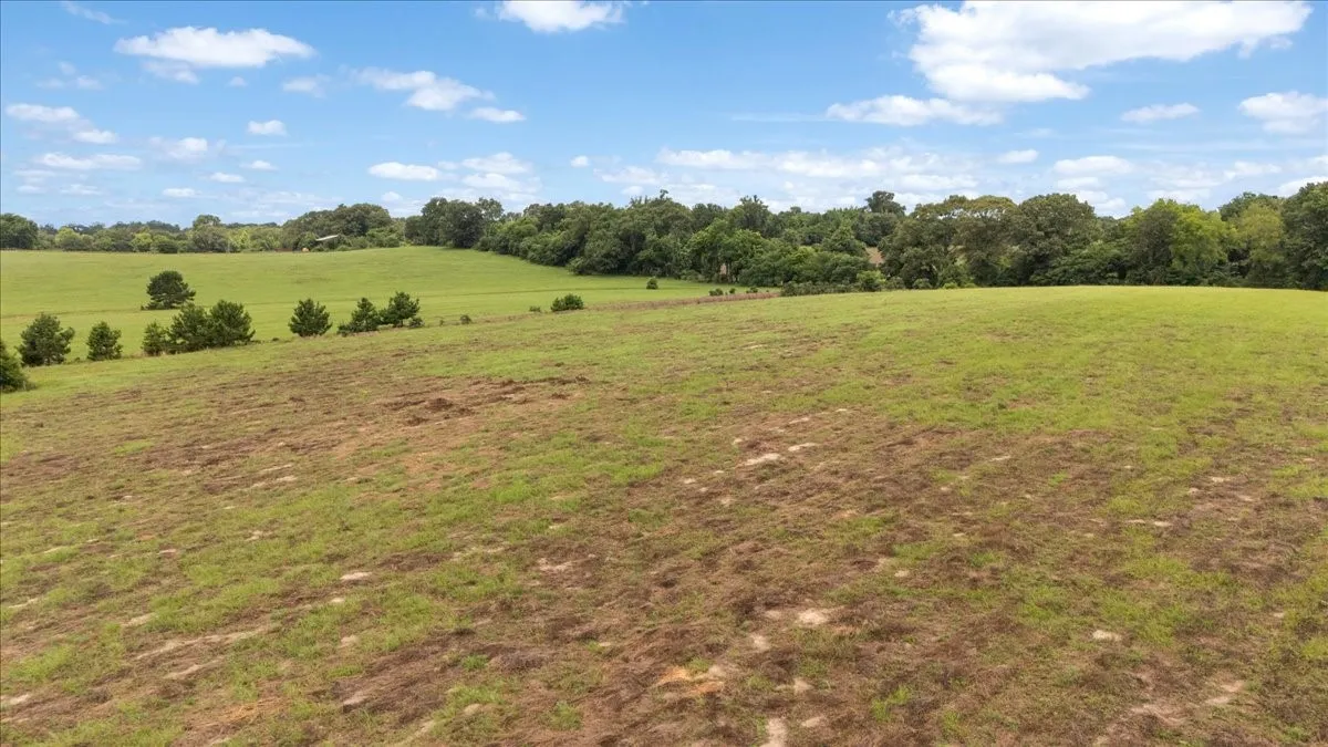 Farm For Sale in Upshur County , 3989 Bob O Link Road, Gilmer, Texas 75645, 4 Bedroom, 2 Bathroom, Garage spaces, 2,232 Sqft, built in 1992, mls#21310844, Real Estate Agent in Gilmer, Homes For Sale in Upshur county, Homes For Sale in Gilmer, Realtor in Gilmer Texas, Real Estate Brokerage Independent Realty Texas, Luminita Cordes Realtor