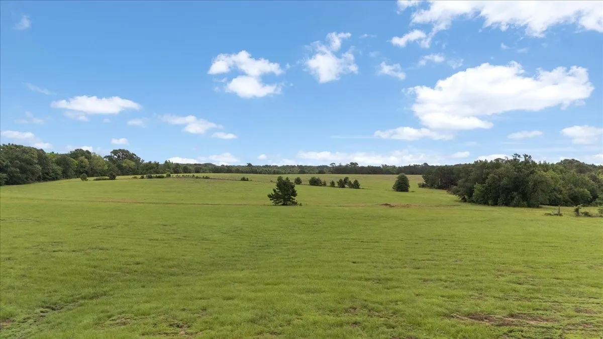 Farm For Sale in Upshur County , 3989 Bob O Link Road, Gilmer, Texas 75645, 4 Bedroom, 2 Bathroom, Garage spaces, 2,232 Sqft, built in 1992, mls#21310844, Real Estate Agent in Gilmer, Homes For Sale in Upshur county, Homes For Sale in Gilmer, Realtor in Gilmer Texas, Real Estate Brokerage Independent Realty Texas, Luminita Cordes Realtor