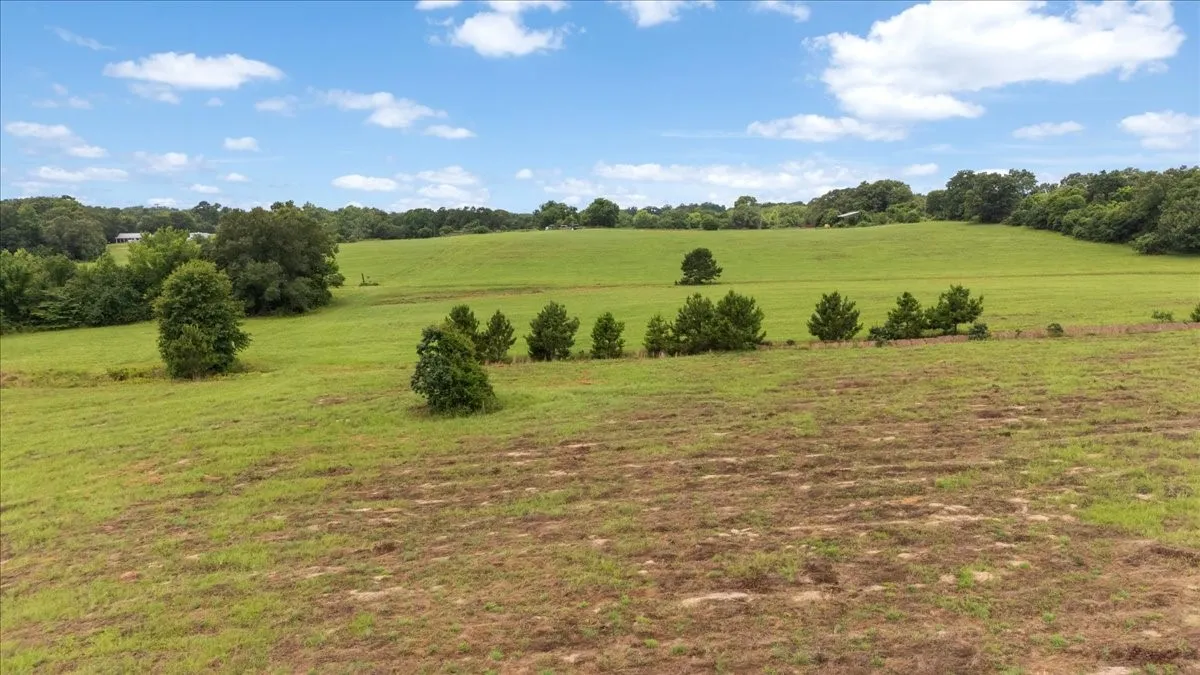 Farm For Sale in Upshur County , 3989 Bob O Link Road, Gilmer, Texas 75645, 4 Bedroom, 2 Bathroom, Garage spaces, 2,232 Sqft, built in 1992, mls#21310844, Real Estate Agent in Gilmer, Homes For Sale in Upshur county, Homes For Sale in Gilmer, Realtor in Gilmer Texas, Real Estate Brokerage Independent Realty Texas, Luminita Cordes Realtor
