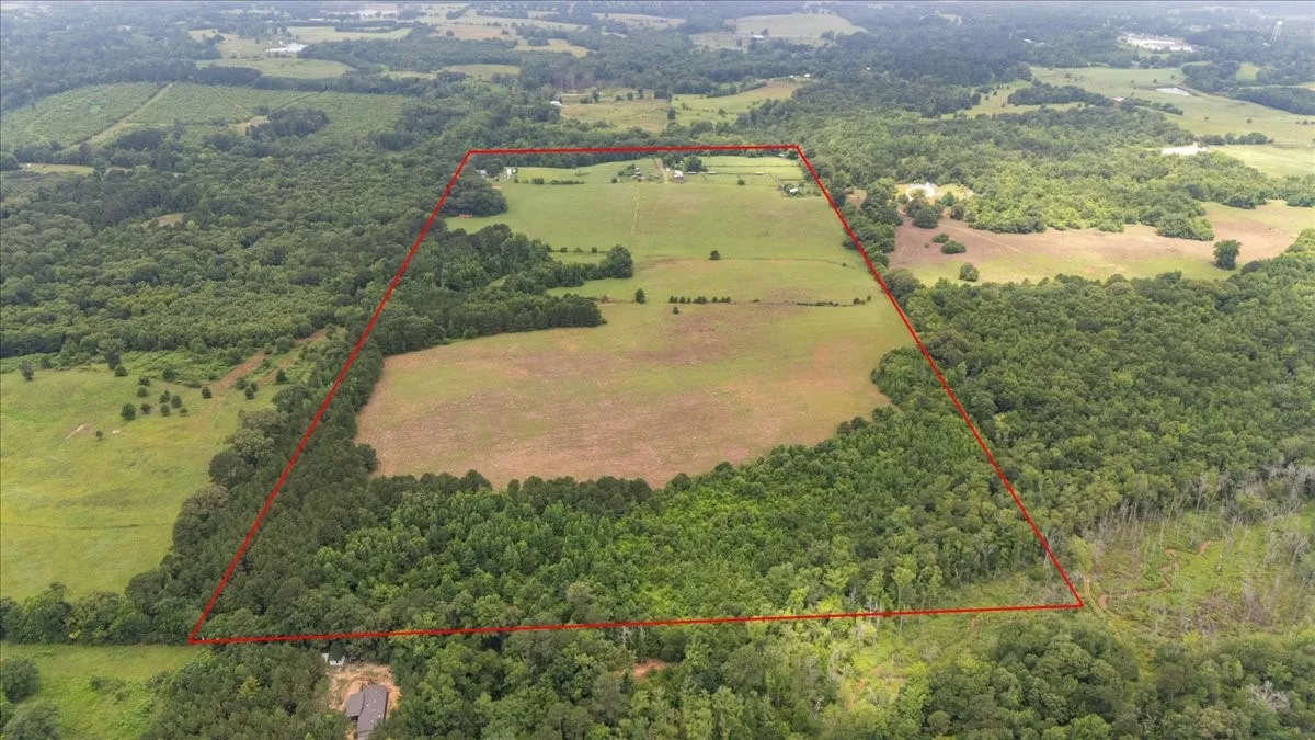 Farm For Sale in Upshur County , 3989 Bob O Link Road, Gilmer, Texas 75645, 4 Bedroom, 2 Bathroom, Garage spaces, 2,232 Sqft, built in 1992, mls#21310844, Real Estate Agent in Gilmer, Homes For Sale in Upshur county, Homes For Sale in Gilmer, Realtor in Gilmer Texas, Real Estate Brokerage Independent Realty Texas, Luminita Cordes Realtor