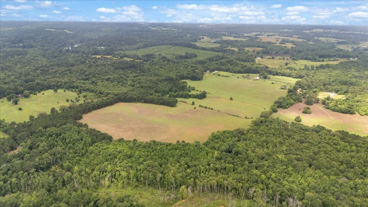 Farm For Sale in Upshur County , 3989 Bob O Link Road, Gilmer, Texas 75645, 4 Bedroom, 2 Bathroom, Garage spaces, 2,232 Sqft, built in 1992, mls#21310844, Real Estate Agent in Gilmer, Homes For Sale in Upshur county, Homes For Sale in Gilmer, Realtor in Gilmer Texas, Real Estate Brokerage Independent Realty Texas, Luminita Cordes Realtor
