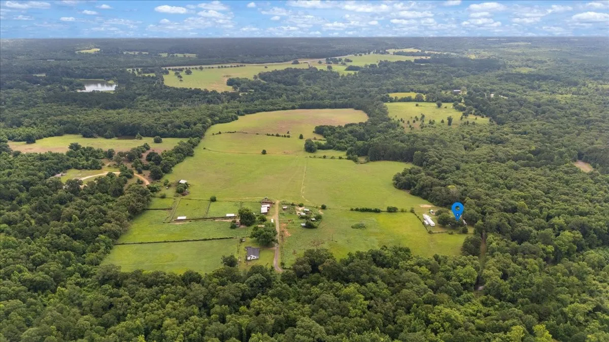 Farm For Sale in Upshur County , 3989 Bob O Link Road, Gilmer, Texas 75645, 4 Bedroom, 2 Bathroom, Garage spaces, 2,232 Sqft, built in 1992, mls#21310844, Real Estate Agent in Gilmer, Homes For Sale in Upshur county, Homes For Sale in Gilmer, Realtor in Gilmer Texas, Real Estate Brokerage Independent Realty Texas, Luminita Cordes Realtor