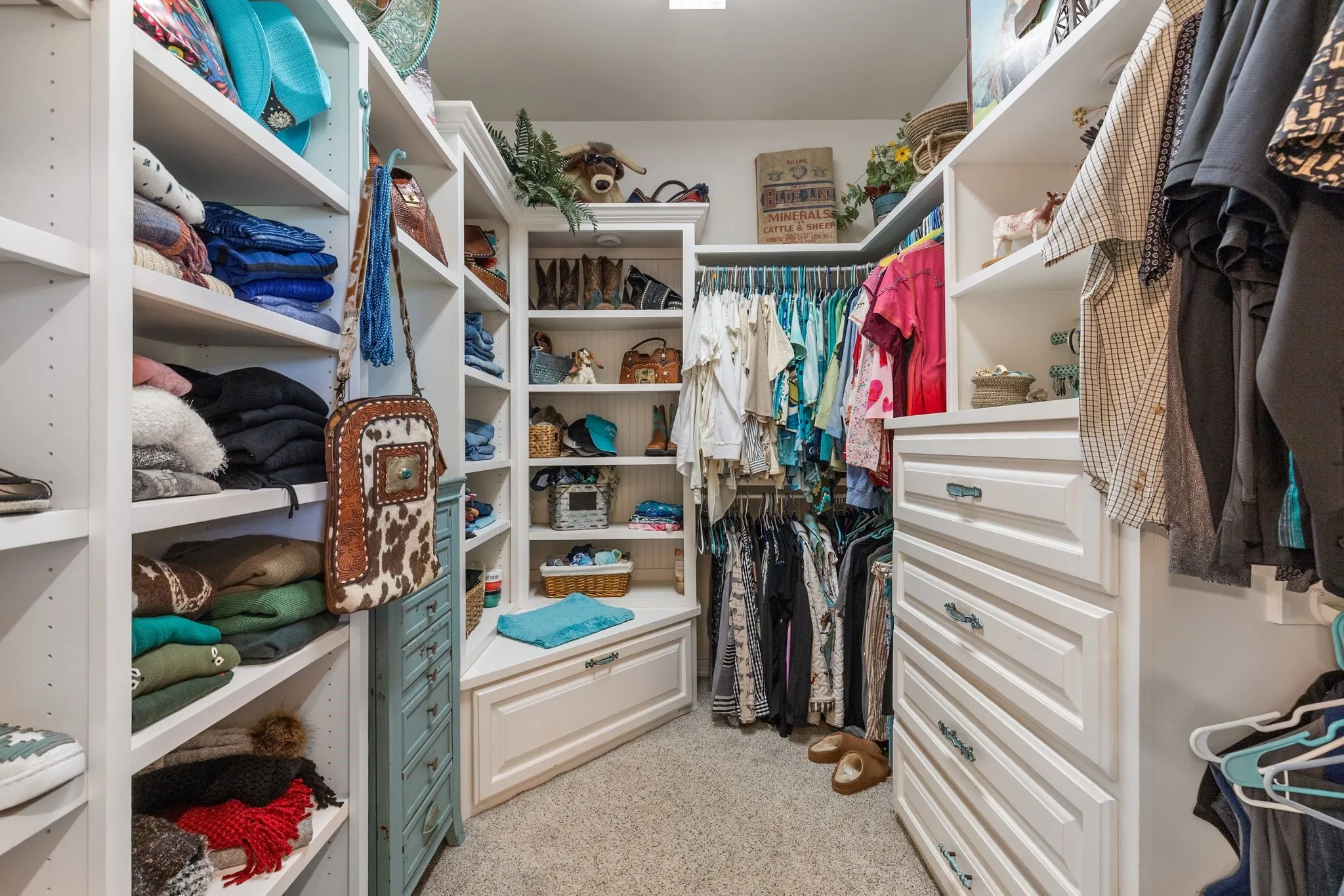 Custom walk-in closet featuring built-in shelving, hanging rods, and integrated drawer storage
