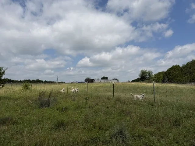 Mobile Home For Sale in Hamilton County , 3828 W Fm 219, Hico, Texas 76457, 3 Bedrooms, 2 Bathrooms, Garage spaces, 1,280 Sqft, built in 1996, Price $520,000, mls#21310875, Real Estate Agent in Hico, Homes For Sale in Hamilton county, Homes For Sale in Hico, Realtor in Hico Texas, Real Estate Brokerage Independent Realty Texas, Luminita Cordes Realtor