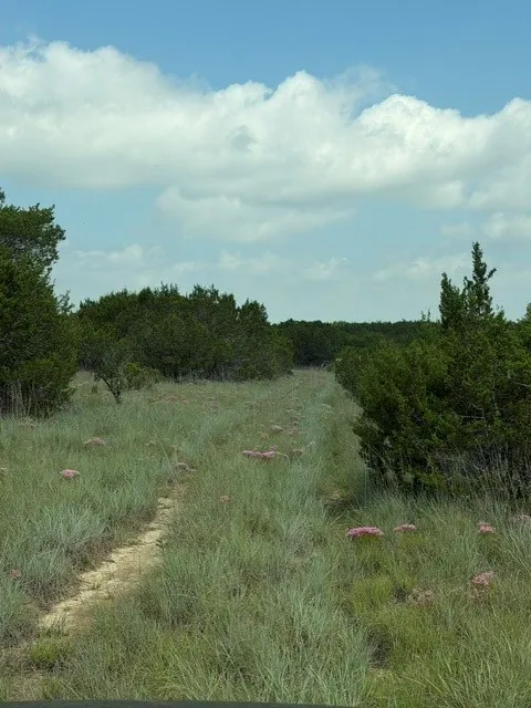 Mobile Home For Sale in Hamilton County , 3828 W Fm 219, Hico, Texas 76457, 3 Bedrooms, 2 Bathrooms, Garage spaces, 1,280 Sqft, built in 1996, Price $520,000, mls#21310875, Real Estate Agent in Hico, Homes For Sale in Hamilton county, Homes For Sale in Hico, Realtor in Hico Texas, Real Estate Brokerage Independent Realty Texas, Luminita Cordes Realtor