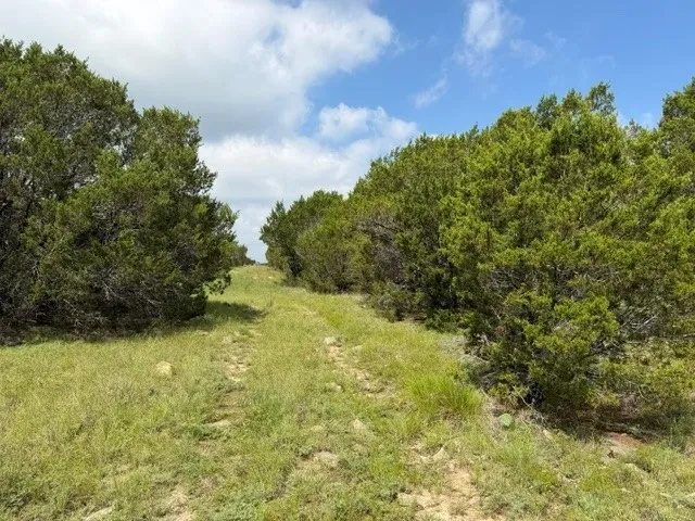 Mobile Home For Sale in Hamilton County , 3828 W Fm 219, Hico, Texas 76457, 3 Bedrooms, 2 Bathrooms, Garage spaces, 1,280 Sqft, built in 1996, Price $520,000, mls#21310875, Real Estate Agent in Hico, Homes For Sale in Hamilton county, Homes For Sale in Hico, Realtor in Hico Texas, Real Estate Brokerage Independent Realty Texas, Luminita Cordes Realtor