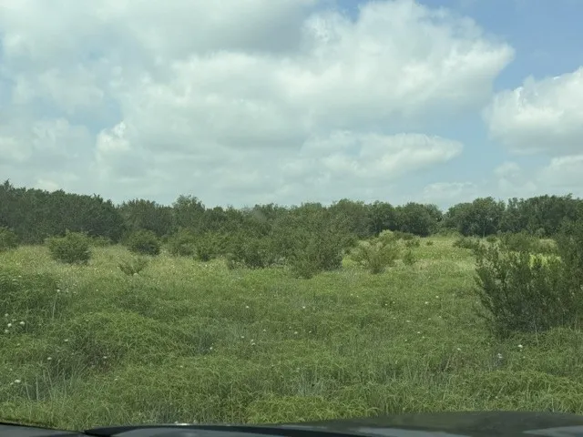 Improved Land For Sale in Hamilton County , 3828 W Fm 219, Hico, Texas 76457, 0, 0, Garage spaces, 0 Sqft, built in 1996, mls#21310934, Real Estate Agent in Hico, Homes For Sale in Hamilton county, Homes For Sale in Hico, Realtor in Hico Texas, Real Estate Brokerage Independent Realty Texas, Luminita Cordes Realtor
