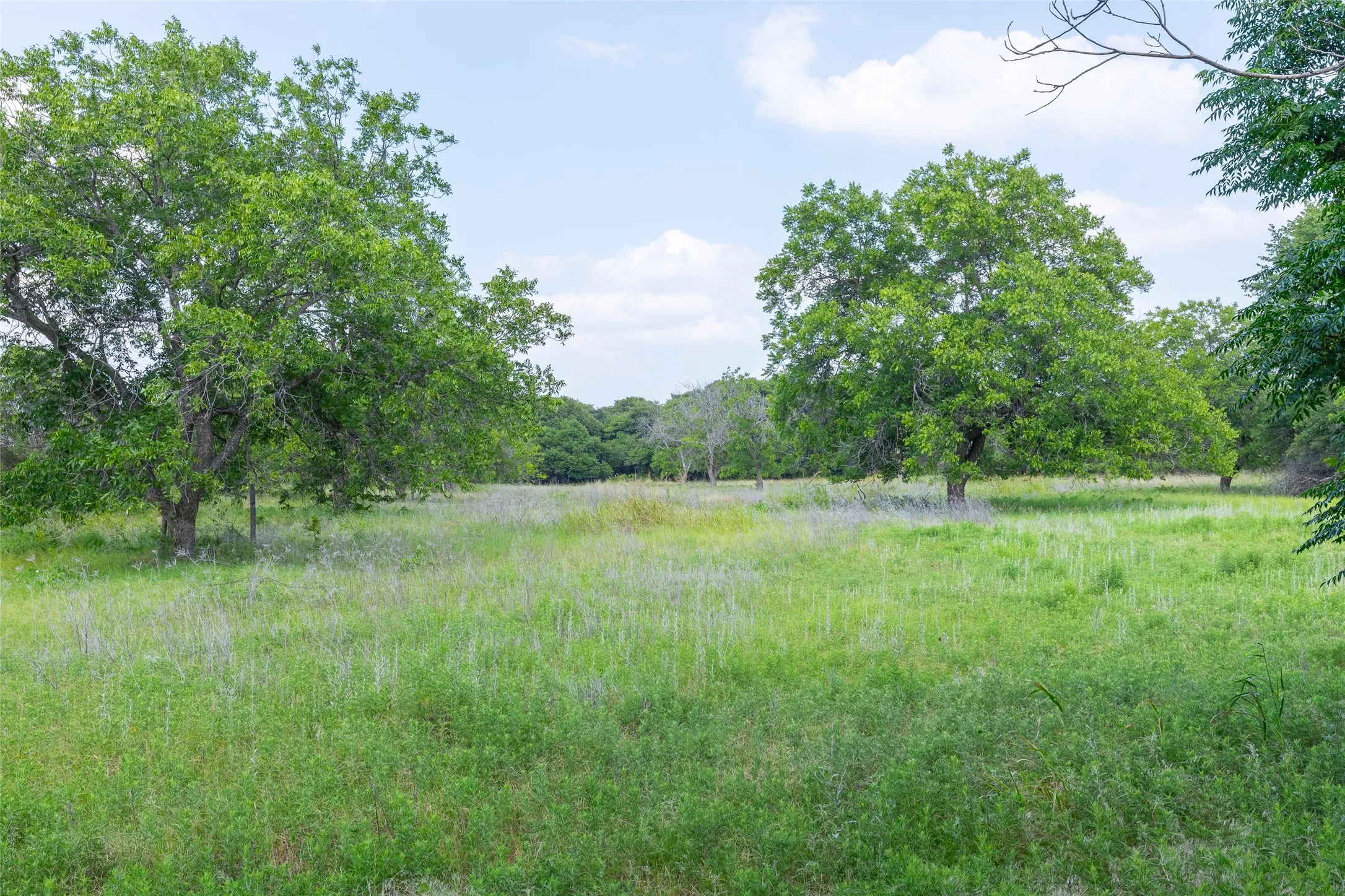 Mobile Home For Sale in Callahan County , 7852 Fm 603, Clyde, Texas 79510, 3 Bedroom, 2 Bathroom, Garage spaces, 1,456 Sqft, built in 1995, mls#21310883, Real Estate Agent in Clyde, Homes For Sale in Callahan county, Homes For Sale in Clyde, Realtor in Clyde Texas, Real Estate Brokerage Independent Realty Texas, Luminita Cordes Realtor