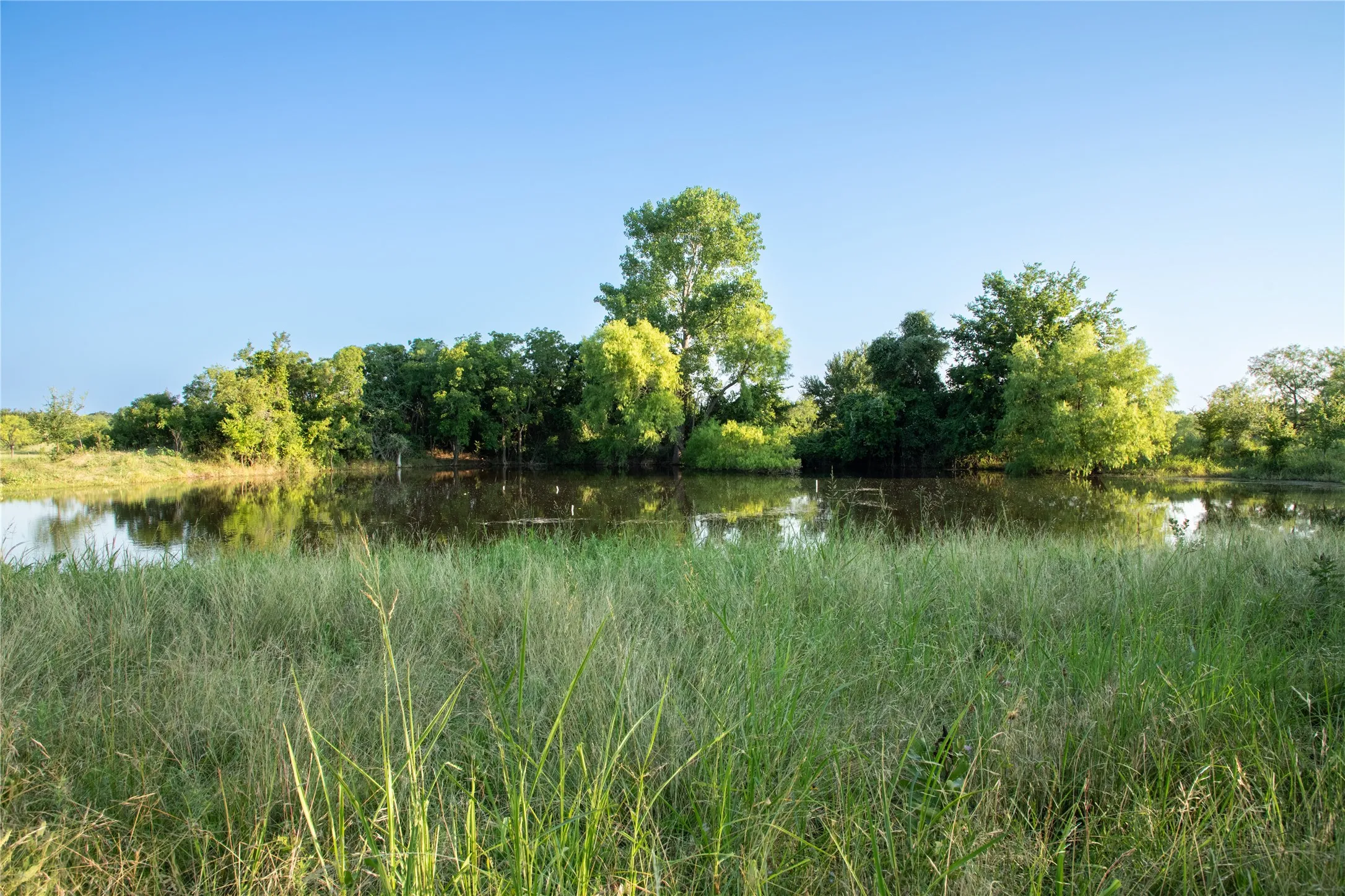 Unimproved Land For Sale in Parker County , 1320 Tidwell, Weatherford, Texas 76462, 0, 0, Garage spaces, 0 Sqft, built in 0, mls#21310931, Real Estate Agent in Weatherford, Homes For Sale in Parker county, Homes For Sale in Weatherford, Realtor in Weatherford Texas, Real Estate Brokerage Independent Realty Texas, Luminita Cordes Realtor