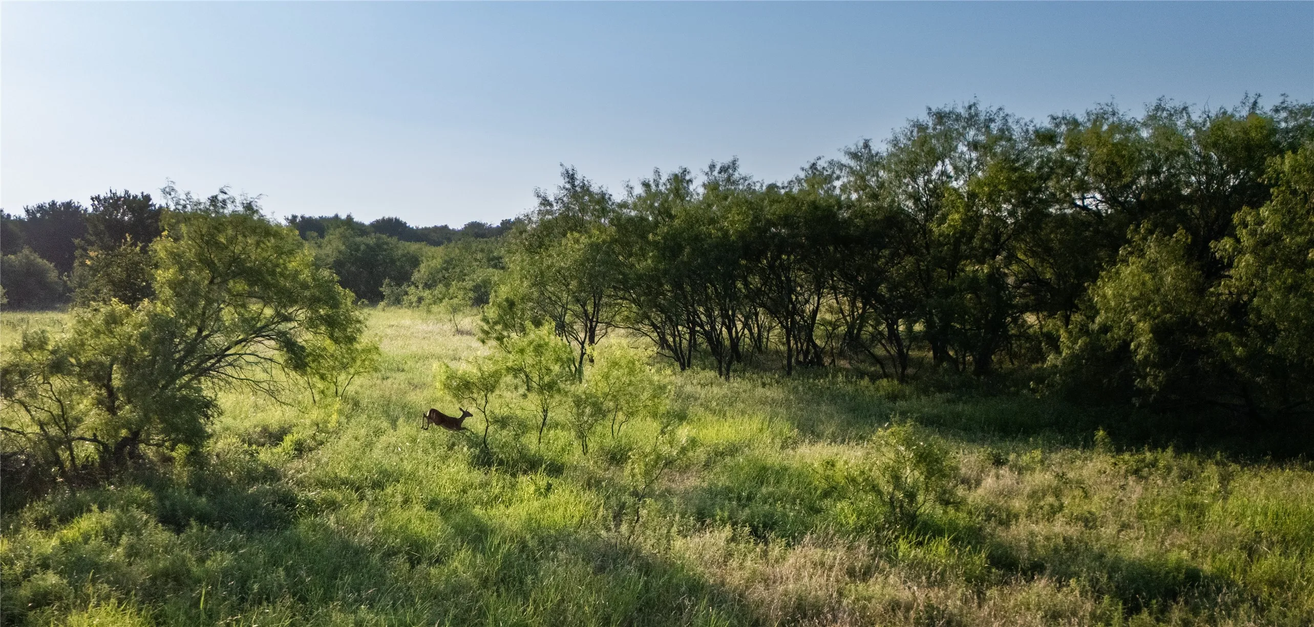 Unimproved Land For Sale in Parker County , 1320 Tidwell, Weatherford, Texas 76462, 0, 0, Garage spaces, 0 Sqft, built in 0, mls#21310931, Real Estate Agent in Weatherford, Homes For Sale in Parker county, Homes For Sale in Weatherford, Realtor in Weatherford Texas, Real Estate Brokerage Independent Realty Texas, Luminita Cordes Realtor