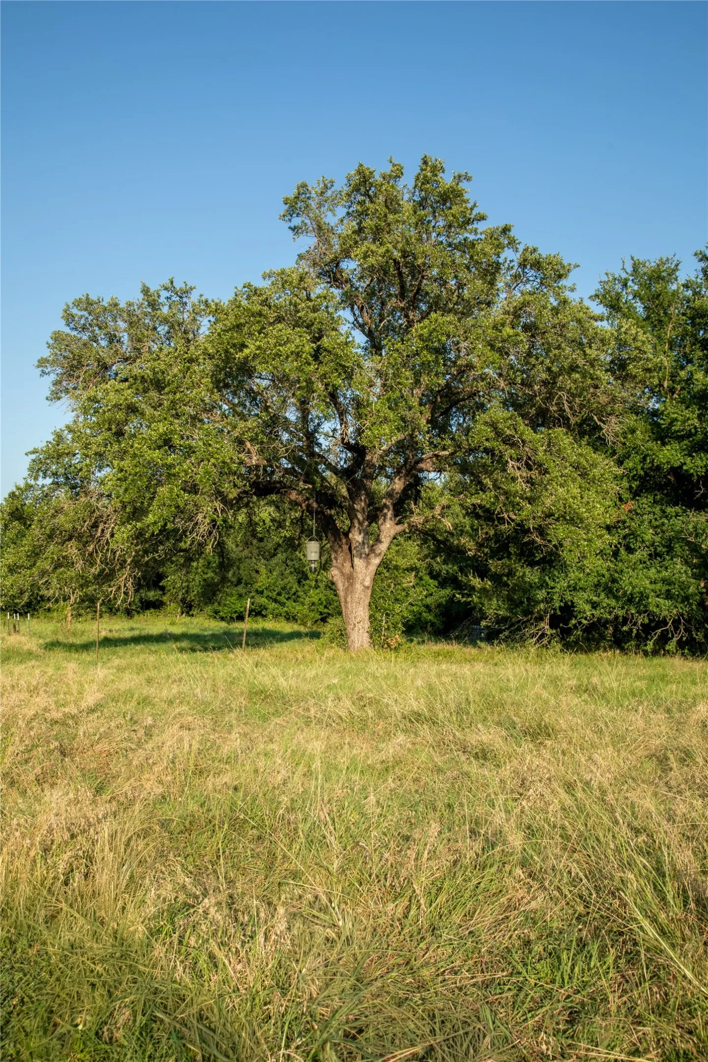Unimproved Land For Sale in Parker County , 1320 Tidwell, Weatherford, Texas 76462, 0, 0, Garage spaces, 0 Sqft, built in 0, mls#21310931, Real Estate Agent in Weatherford, Homes For Sale in Parker county, Homes For Sale in Weatherford, Realtor in Weatherford Texas, Real Estate Brokerage Independent Realty Texas, Luminita Cordes Realtor