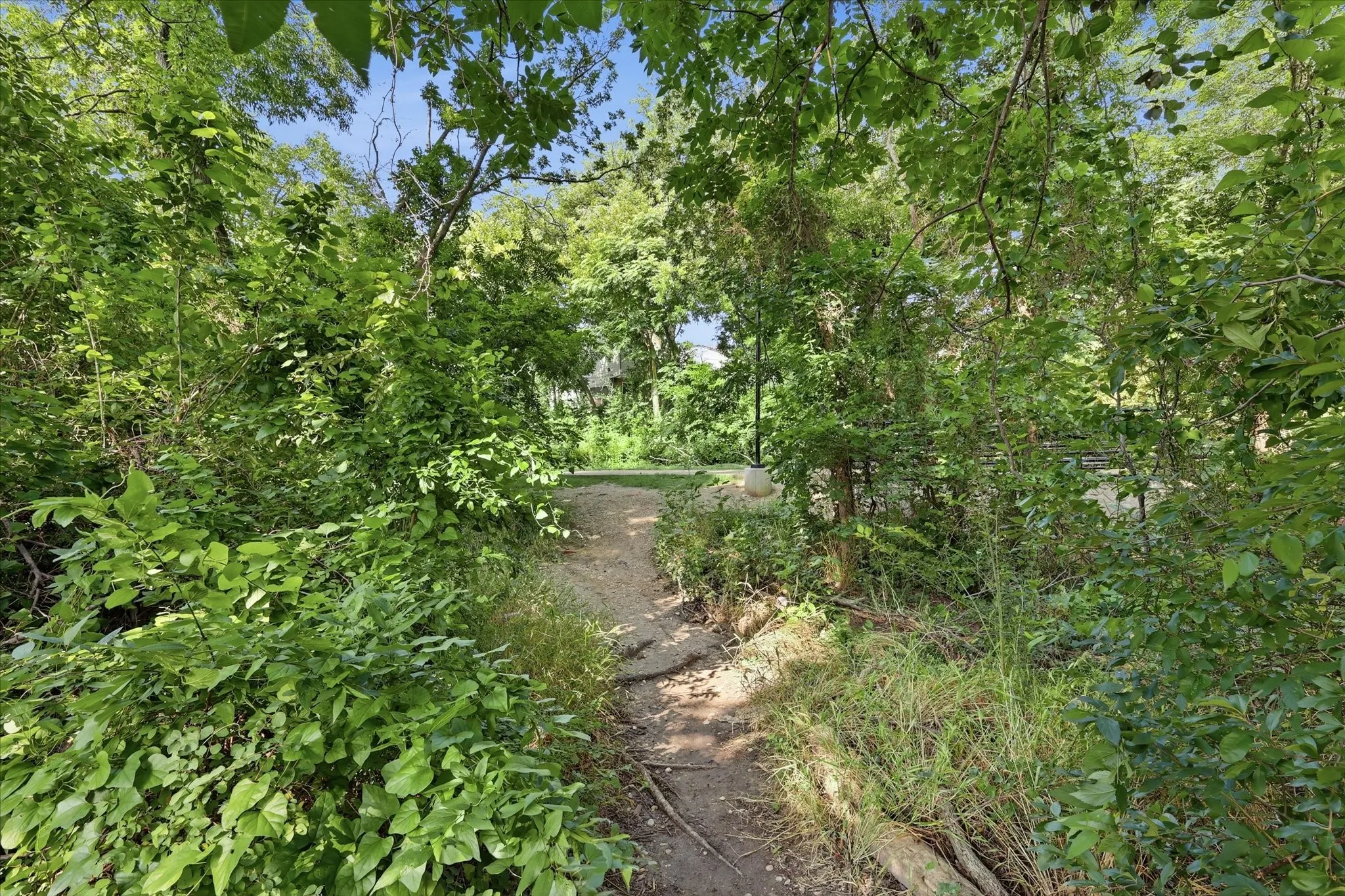 Short path to the Katy Trail, just steps from the garage door.