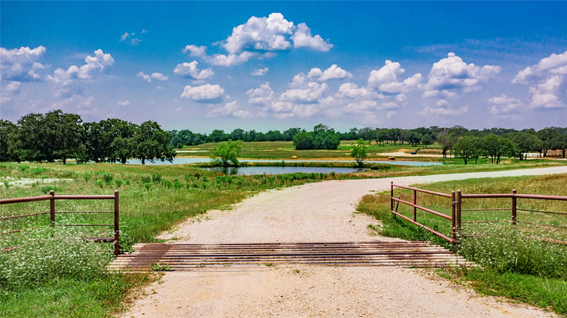 Gravel road with cattle guard leading to open fields, multiple ponds, and mature trees