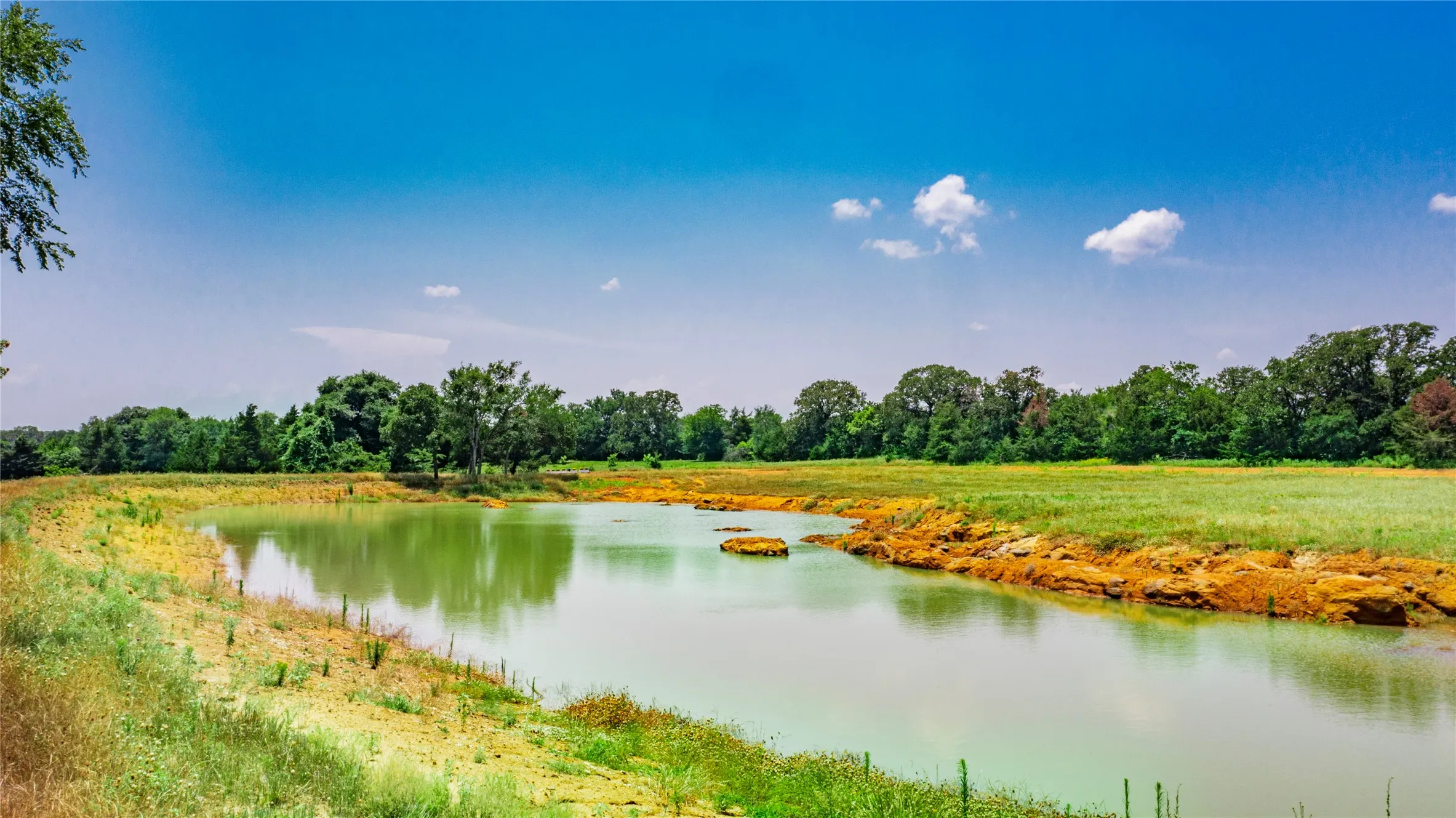 Natural water feature with surrounding green grass and mature trees