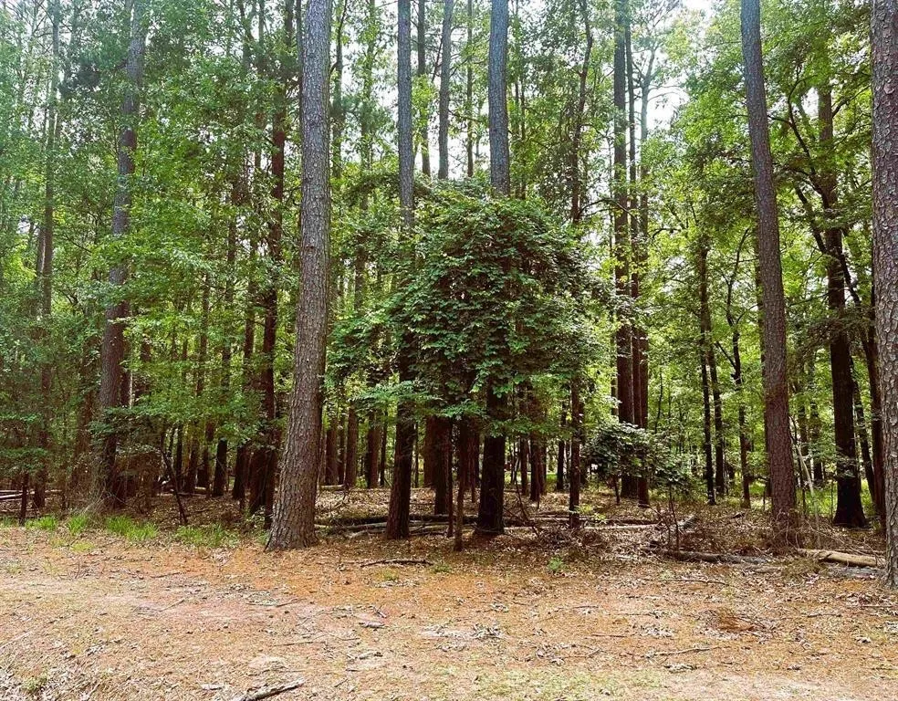 Unimproved Land For Sale in Franklin (TX) County , 8 Fawns Crossing Dr., Mount Vernon, Texas 75457, 0, 0, Garage spaces, 0 Sqft, built in 0, Price $12,000, mls#21306291, Real Estate Agent in Mount Vernon, Homes For Sale in Franklin (TX) county, Homes For Sale in Mount Vernon, Realtor in Mount Vernon Texas, Real Estate Brokerage Independent Realty Texas, Luminita Cordes Realtor