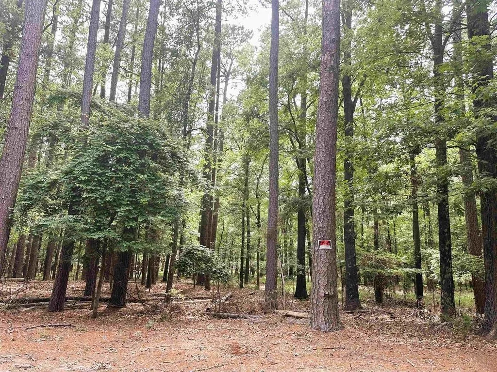 Unimproved Land For Sale in Franklin (TX) County , 8 Fawns Crossing Dr., Mount Vernon, Texas 75457, 0, 0, Garage spaces, 0 Sqft, built in 0, Price $12,000, mls#21306291, Real Estate Agent in Mount Vernon, Homes For Sale in Franklin (TX) county, Homes For Sale in Mount Vernon, Realtor in Mount Vernon Texas, Real Estate Brokerage Independent Realty Texas, Luminita Cordes Realtor