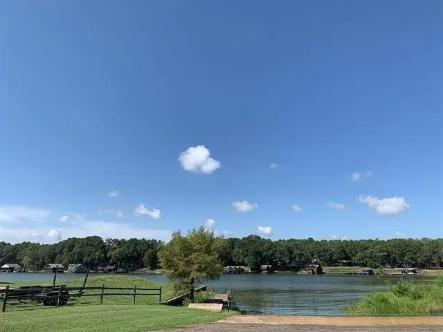 Unimproved Land For Sale in Franklin (TX) County , 8 Fawns Crossing Dr., Mount Vernon, Texas 75457, 0, 0, Garage spaces, 0 Sqft, built in 0, Price $12,000, mls#21306291, Real Estate Agent in Mount Vernon, Homes For Sale in Franklin (TX) county, Homes For Sale in Mount Vernon, Realtor in Mount Vernon Texas, Real Estate Brokerage Independent Realty Texas, Luminita Cordes Realtor