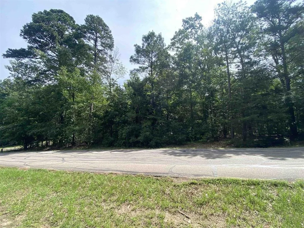 Unimproved Land For Sale in Franklin (TX) County , 18 Angelina St, Mount Vernon, Texas 75457, 0, 0, Garage spaces, 0 Sqft, built in 0, Price $9,750, mls#21306034, Real Estate Agent in Mount Vernon, Homes For Sale in Franklin (TX) county, Homes For Sale in Mount Vernon, Realtor in Mount Vernon Texas, Real Estate Brokerage Independent Realty Texas, Luminita Cordes Realtor