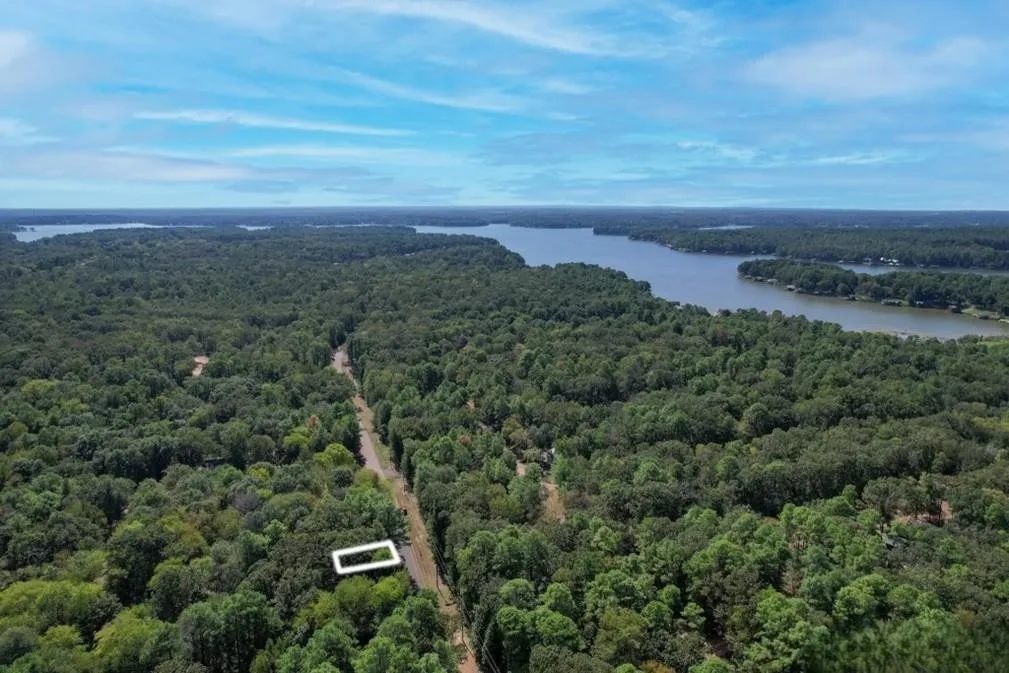 Unimproved Land For Sale in Franklin (TX) County , 18 Angelina St, Mount Vernon, Texas 75457, 0, 0, Garage spaces, 0 Sqft, built in 0, Price $9,750, mls#21306034, Real Estate Agent in Mount Vernon, Homes For Sale in Franklin (TX) county, Homes For Sale in Mount Vernon, Realtor in Mount Vernon Texas, Real Estate Brokerage Independent Realty Texas, Luminita Cordes Realtor