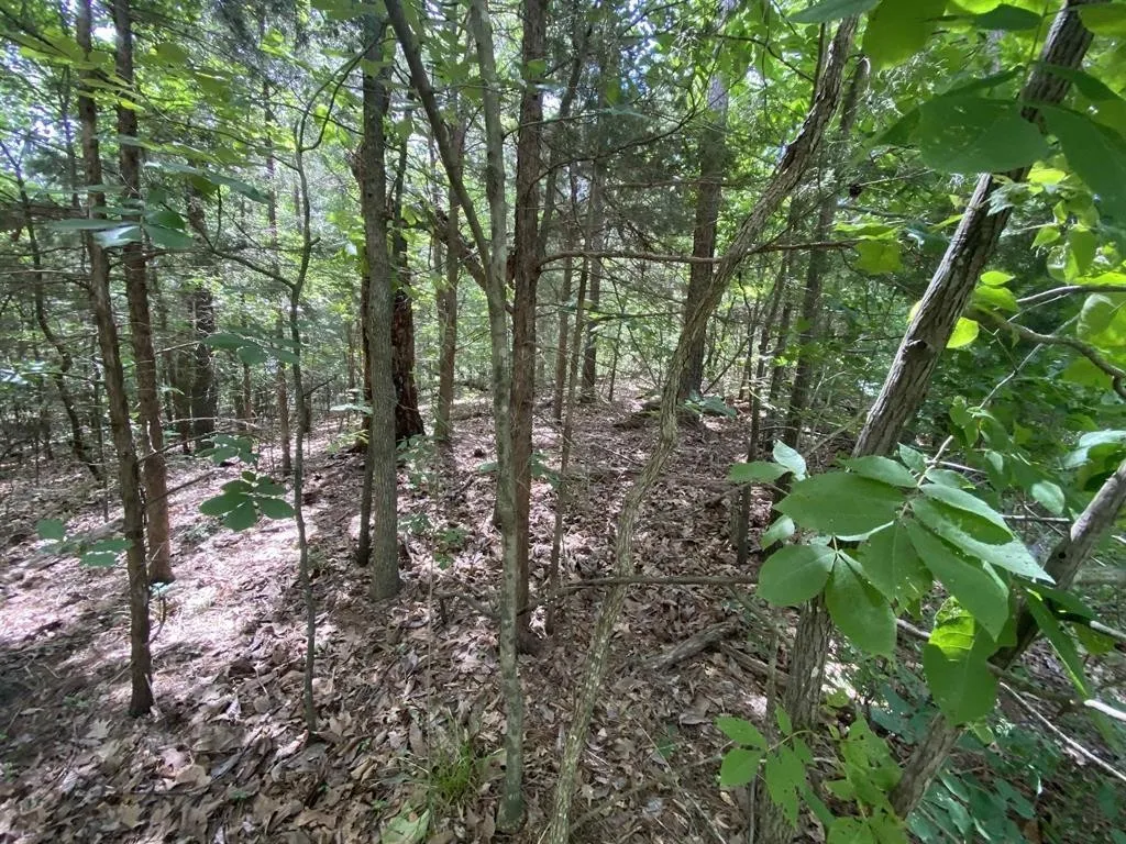 Unimproved Land For Sale in Franklin (TX) County , 18 Angelina St, Mount Vernon, Texas 75457, 0, 0, Garage spaces, 0 Sqft, built in 0, Price $9,750, mls#21306034, Real Estate Agent in Mount Vernon, Homes For Sale in Franklin (TX) county, Homes For Sale in Mount Vernon, Realtor in Mount Vernon Texas, Real Estate Brokerage Independent Realty Texas, Luminita Cordes Realtor