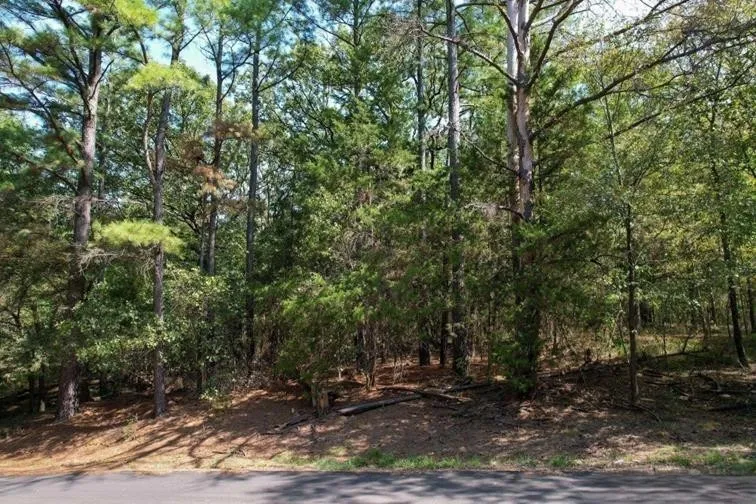 Unimproved Land For Sale in Franklin (TX) County , 18 Angelina St, Mount Vernon, Texas 75457, 0, 0, Garage spaces, 0 Sqft, built in 0, Price $9,750, mls#21306034, Real Estate Agent in Mount Vernon, Homes For Sale in Franklin (TX) county, Homes For Sale in Mount Vernon, Realtor in Mount Vernon Texas, Real Estate Brokerage Independent Realty Texas, Luminita Cordes Realtor