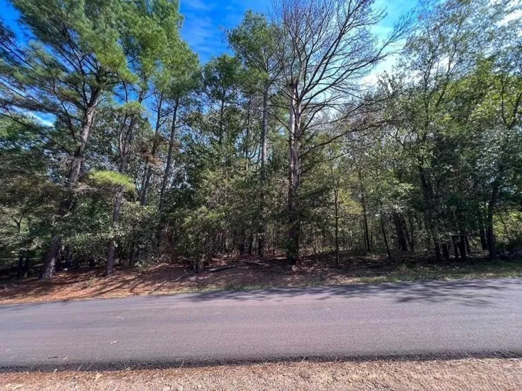 Unimproved Land For Sale in Franklin (TX) County , 18 Angelina St, Mount Vernon, Texas 75457, 0, 0, Garage spaces, 0 Sqft, built in 0, Price $9,750, mls#21306034, Real Estate Agent in Mount Vernon, Homes For Sale in Franklin (TX) county, Homes For Sale in Mount Vernon, Realtor in Mount Vernon Texas, Real Estate Brokerage Independent Realty Texas, Luminita Cordes Realtor