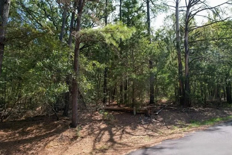 Unimproved Land For Sale in Franklin (TX) County , 18 Angelina St, Mount Vernon, Texas 75457, 0, 0, Garage spaces, 0 Sqft, built in 0, Price $9,750, mls#21306034, Real Estate Agent in Mount Vernon, Homes For Sale in Franklin (TX) county, Homes For Sale in Mount Vernon, Realtor in Mount Vernon Texas, Real Estate Brokerage Independent Realty Texas, Luminita Cordes Realtor