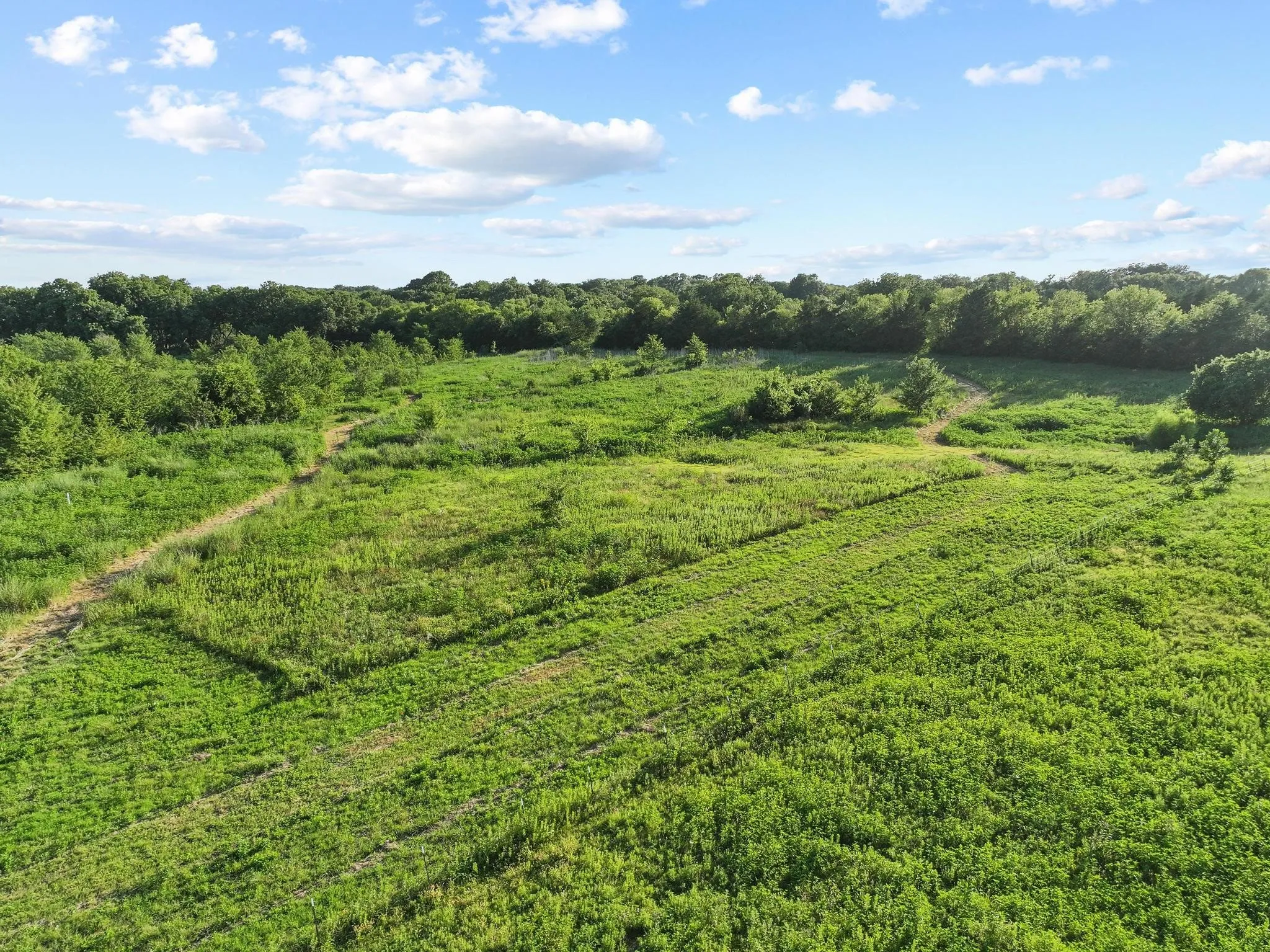 Unimproved Land For Sale in Grayson County , 670 Independence Springs, Sherman, Texas 75090, 0, 0, Garage spaces, 0 Sqft, built in 0, mls#21305100, Real Estate Agent in Sherman, Homes For Sale in Grayson county, Homes For Sale in Sherman, Realtor in Sherman Texas, Real Estate Brokerage Independent Realty Texas, Luminita Cordes Realtor